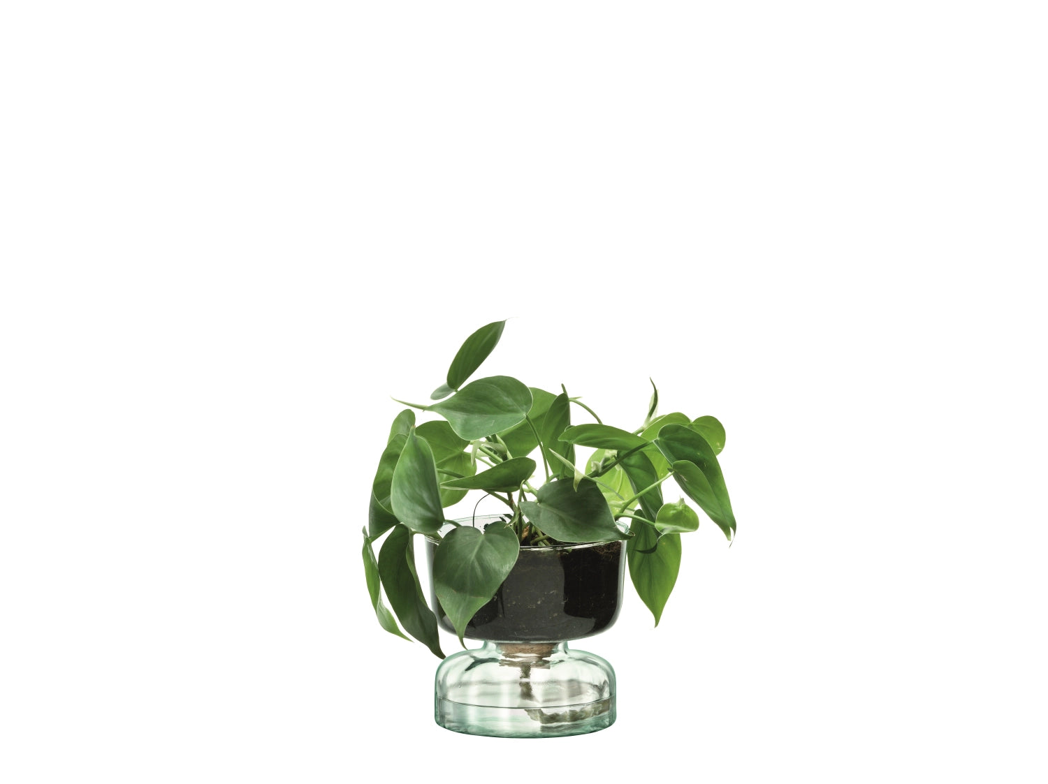 Canopy self-watering pot H13cm - recy. optics
