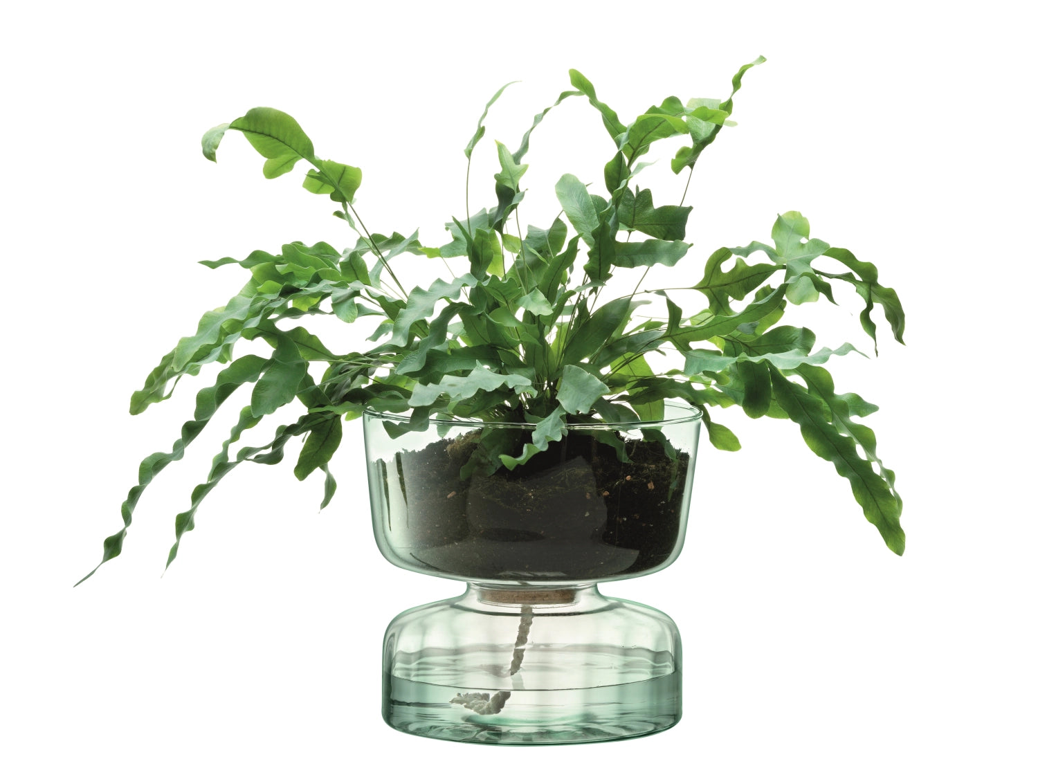 Moderner, selbstbewässernder Topf in recyceltem Design, 22 cm hoch, perfekt für kreative Pflanzenarrangements und nachhaltige Wohnkonzepte.