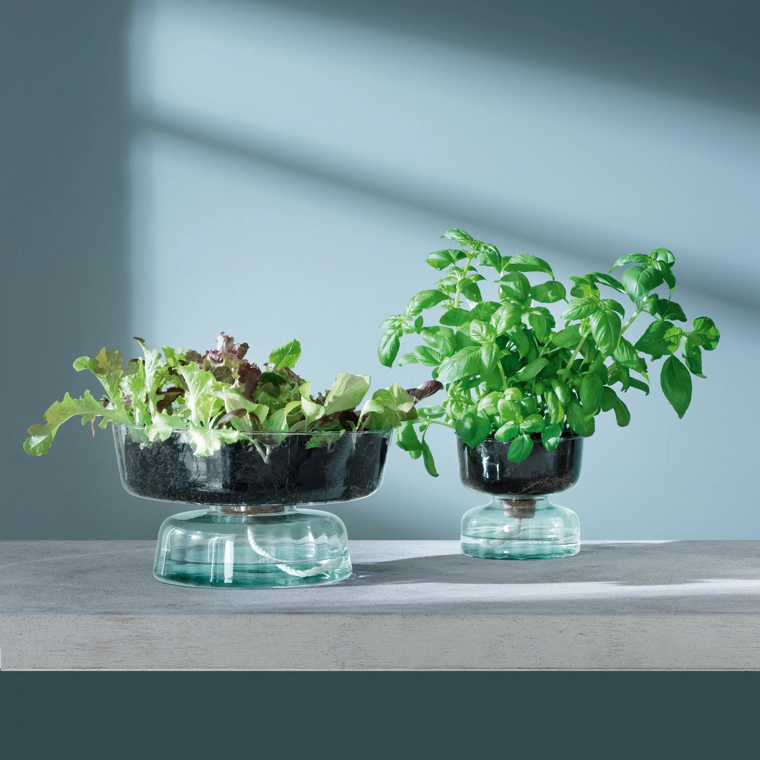 Moderner, selbstbewässernder Topf in recyceltem Design, 14,5 cm hoch, perfekt für kreative Pflanzenarrangements und umweltbewusste Dekoration.