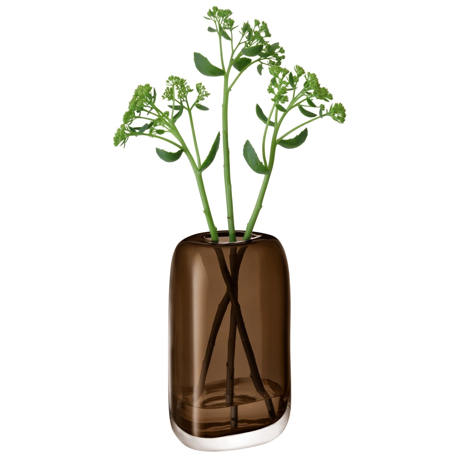 Elegante braune Melt Vase von LSA, 24 cm hoch, mit einzigartiger, geschwungener Silhouette, perfekt für stilvolle Dekoration und florale Akzente.