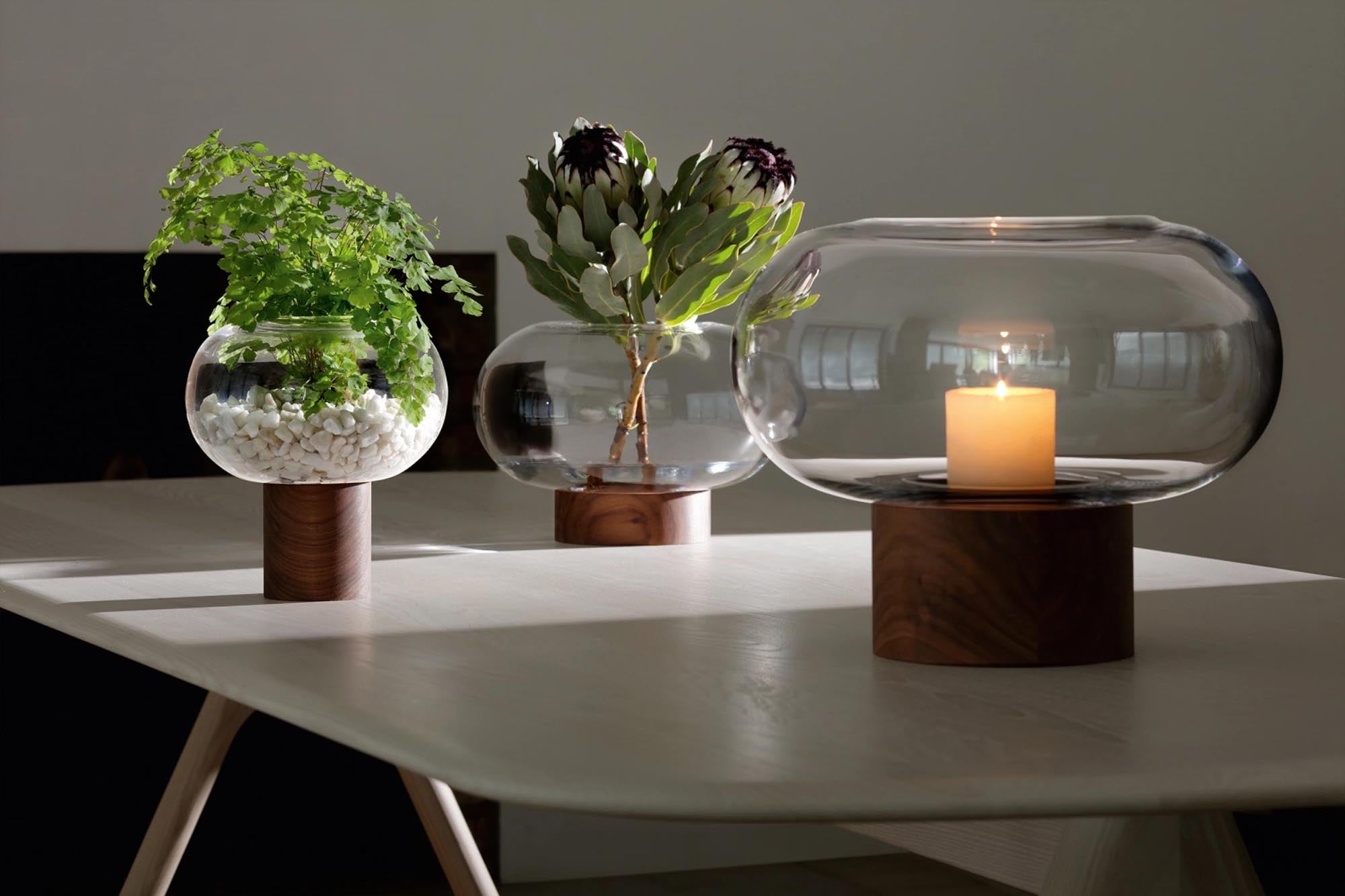 Elegante Oblate Vase von LSA mit klarer Glasoberfläche und stilvoller Walnussbasis – ideal für kreative Blumenarrangements.