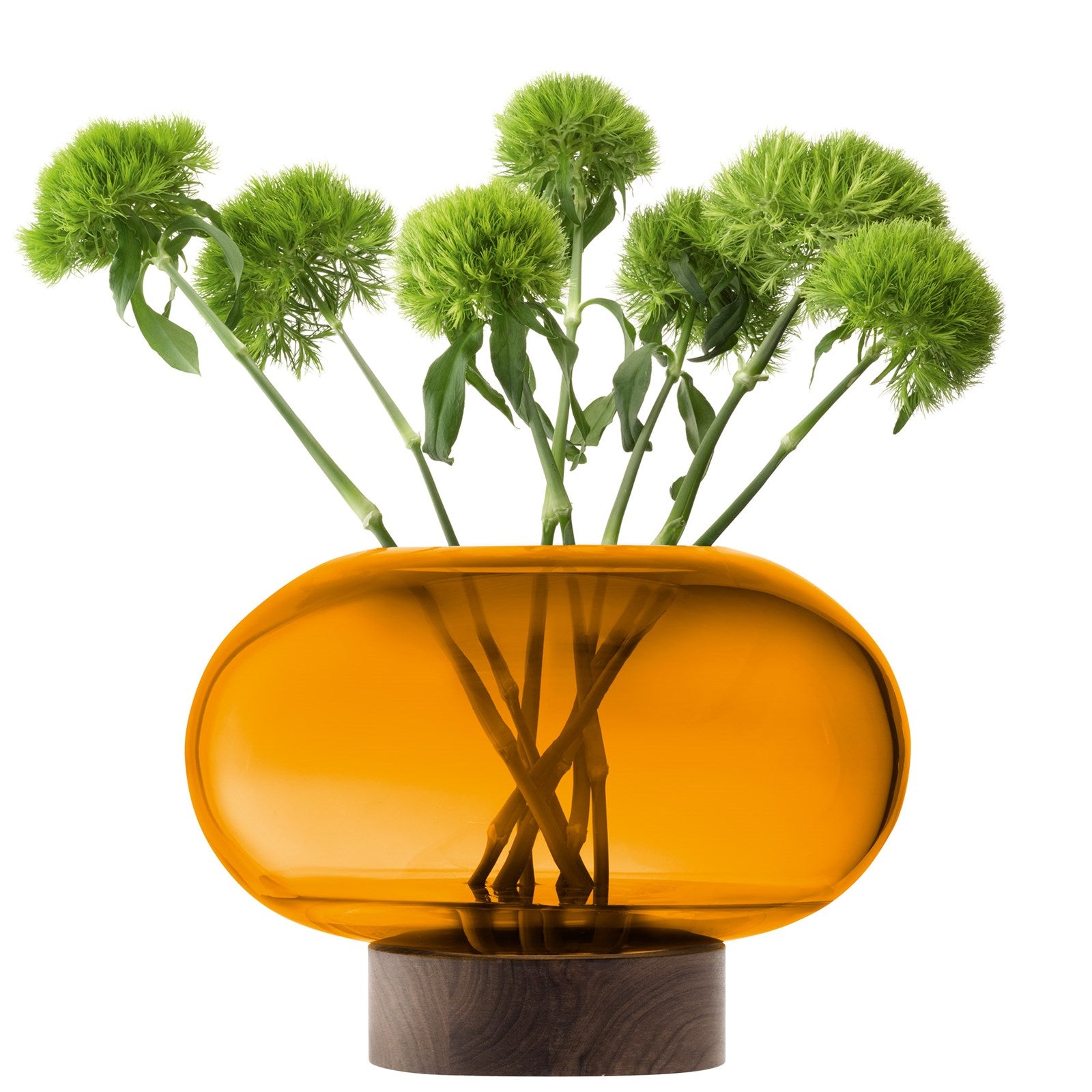 Stilvolle Oblate Vase Laterne von LSA in warmem Bernstein und Walnuss, Ø28cm, H19.5cm – ideal für stimmungsvolle Akzente in Ihrem Zuhause.