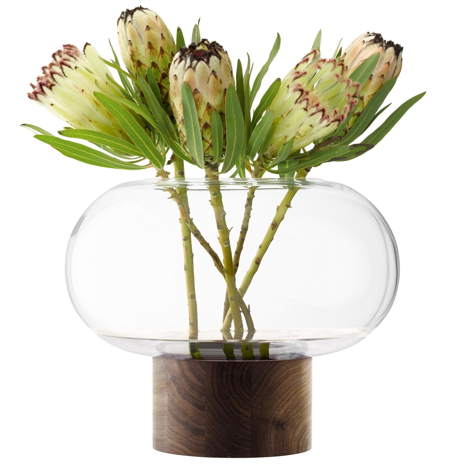 Stilvolle Oblate Vase Laterne in klarem Glas und edlem Walnussholz, Ø35cm, H28cm. Ideal für Blumenarrangements oder stimmungsvolle Kerzen.