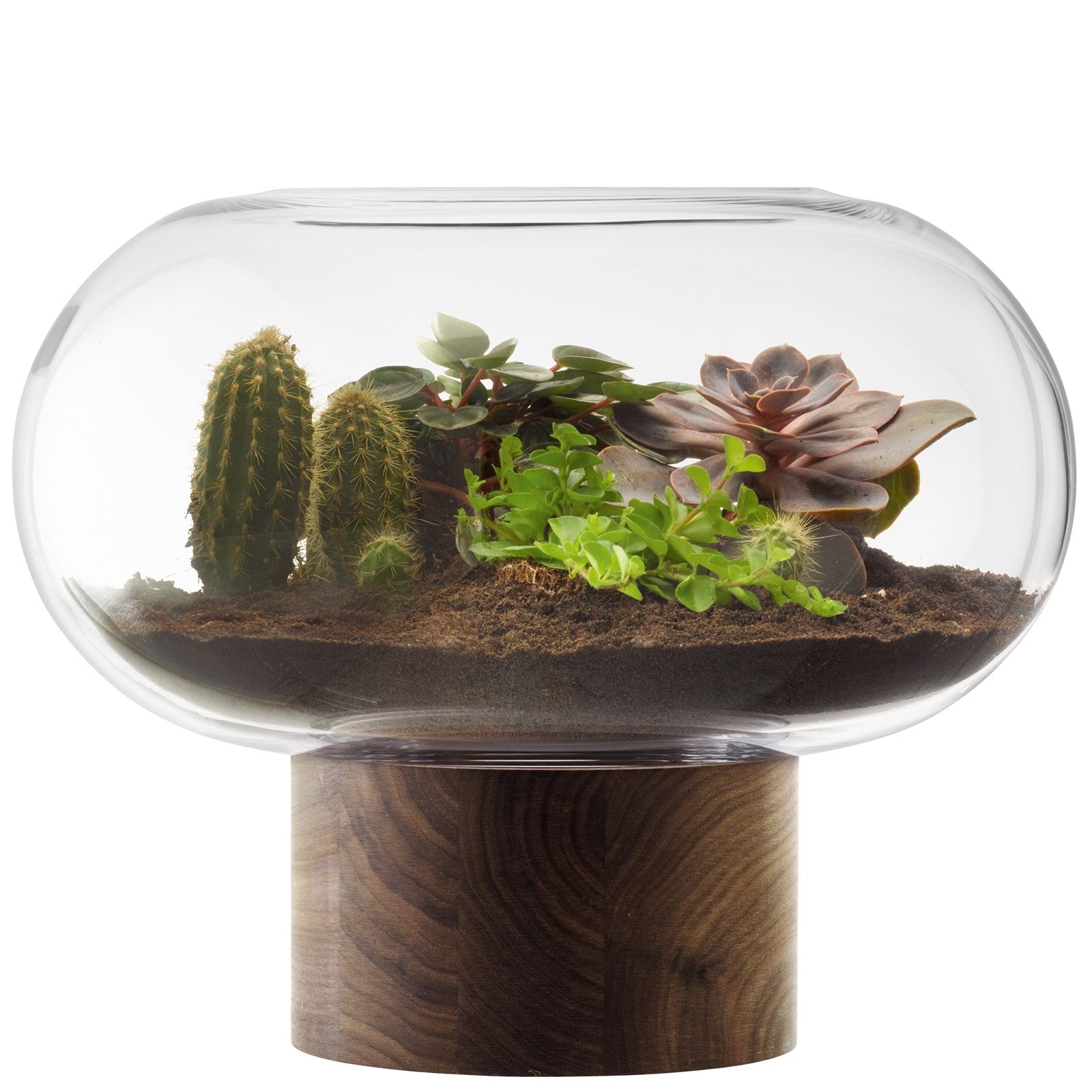 Stilvolle Oblate Vase Laterne in klarem Glas und edlem Walnussholz, Ø35cm, H28cm. Ideal für Blumenarrangements oder stimmungsvolle Kerzen.