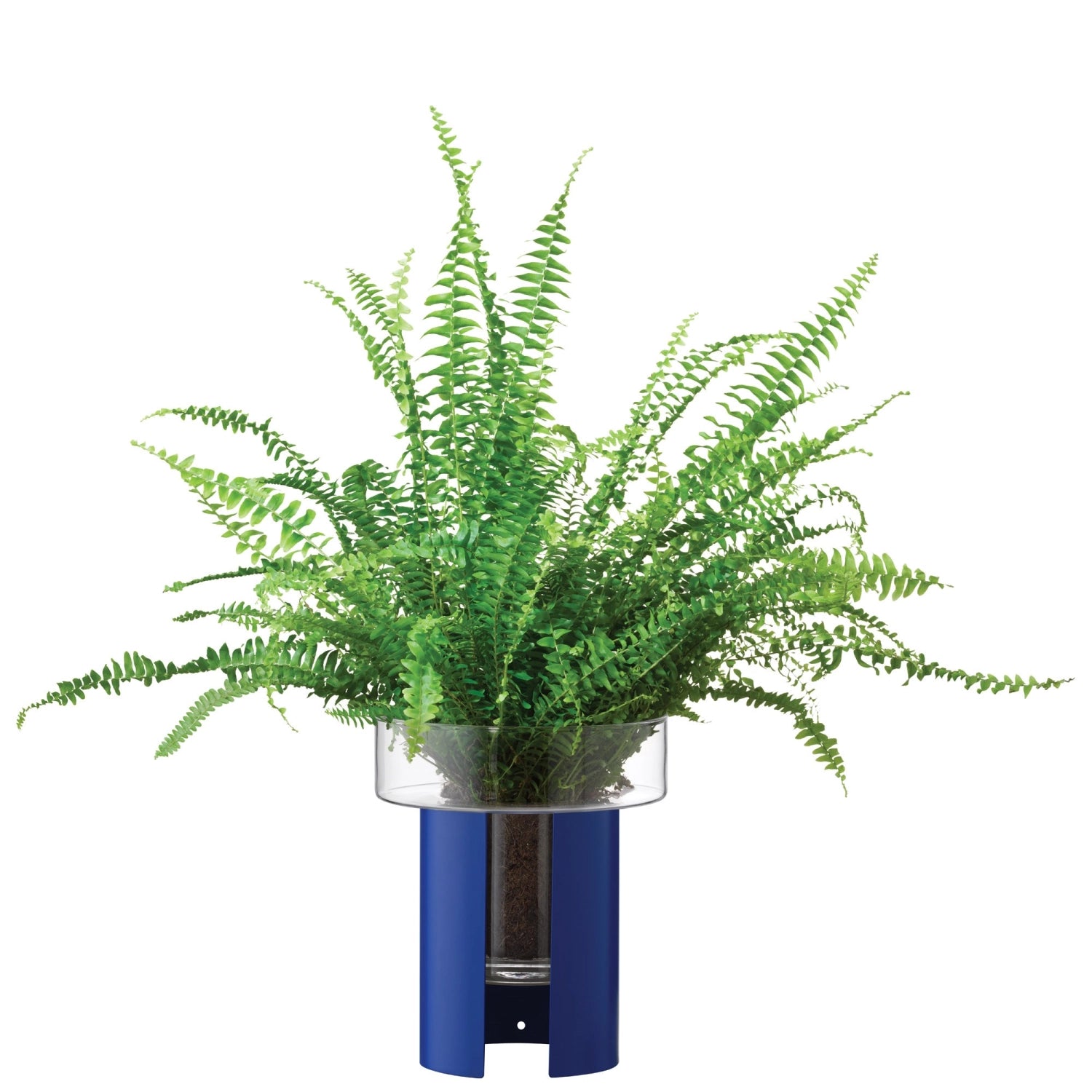 Moderner Pflanzentopf Terrazza in transparentem Blau, Höhe 22 cm und Durchmesser 19 cm, perfekt für die stilvolle Dekoration von Pflanzen.