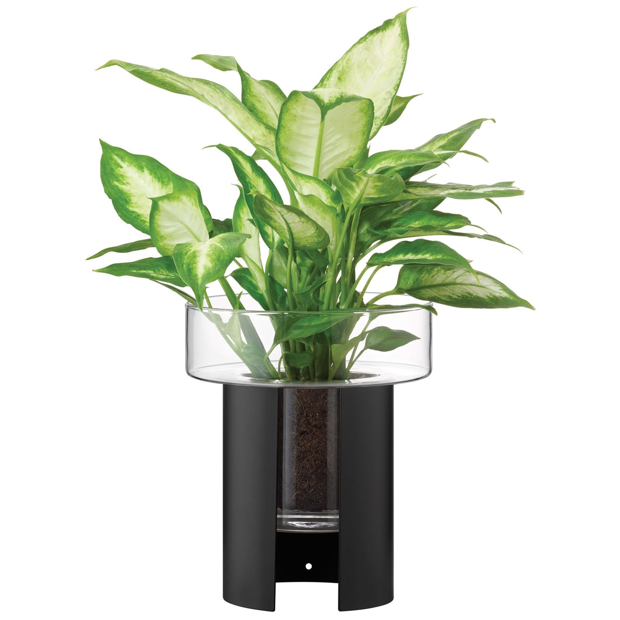 Eleganter Pflanzentopf Terrazza in klar und schwarz, H22 Ø19 cm, ideal für moderne Wohnräume und stilvolle Pflanzenpräsentation.