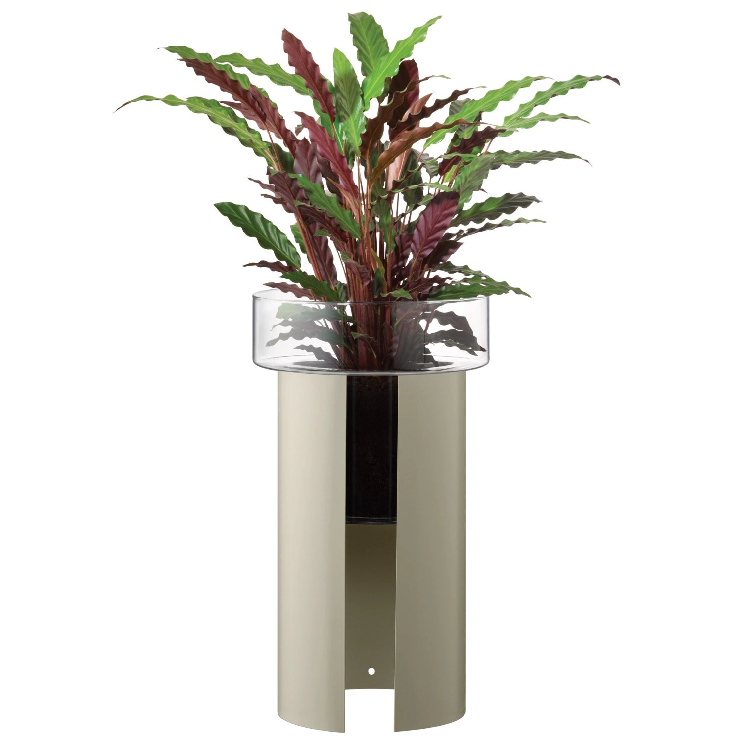 Moderner Pflanzentopf Terrazza mit klarem Glas und robustem Betonboden, perfekt für kreative Pflanzenarrangements in jedem Raum.