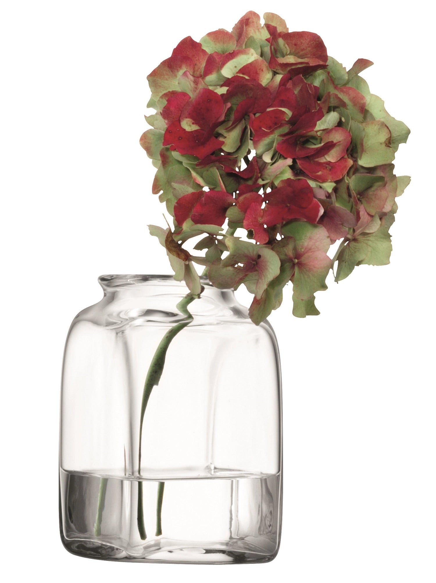 Schlichte Umberto Vase von LSA aus klarem Glas, 14 cm hoch, perfekt für florale Arrangements und moderne Wohnakzente.