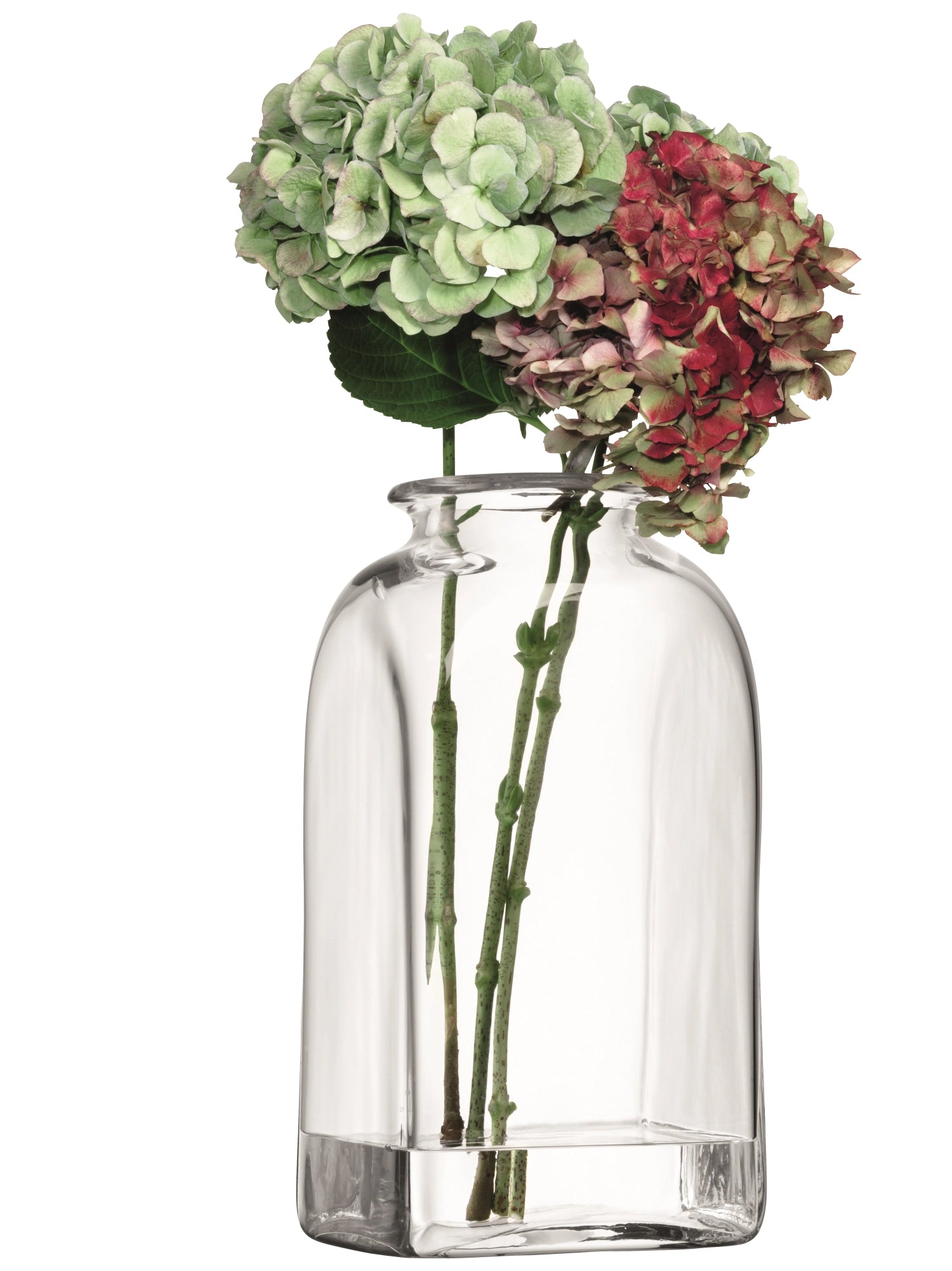 Stilvolle Umberto Vase von LSA, 40 cm hoch, aus klarem Glas, perfekt für kreative Blumenarrangements und moderne Wohnakzente.