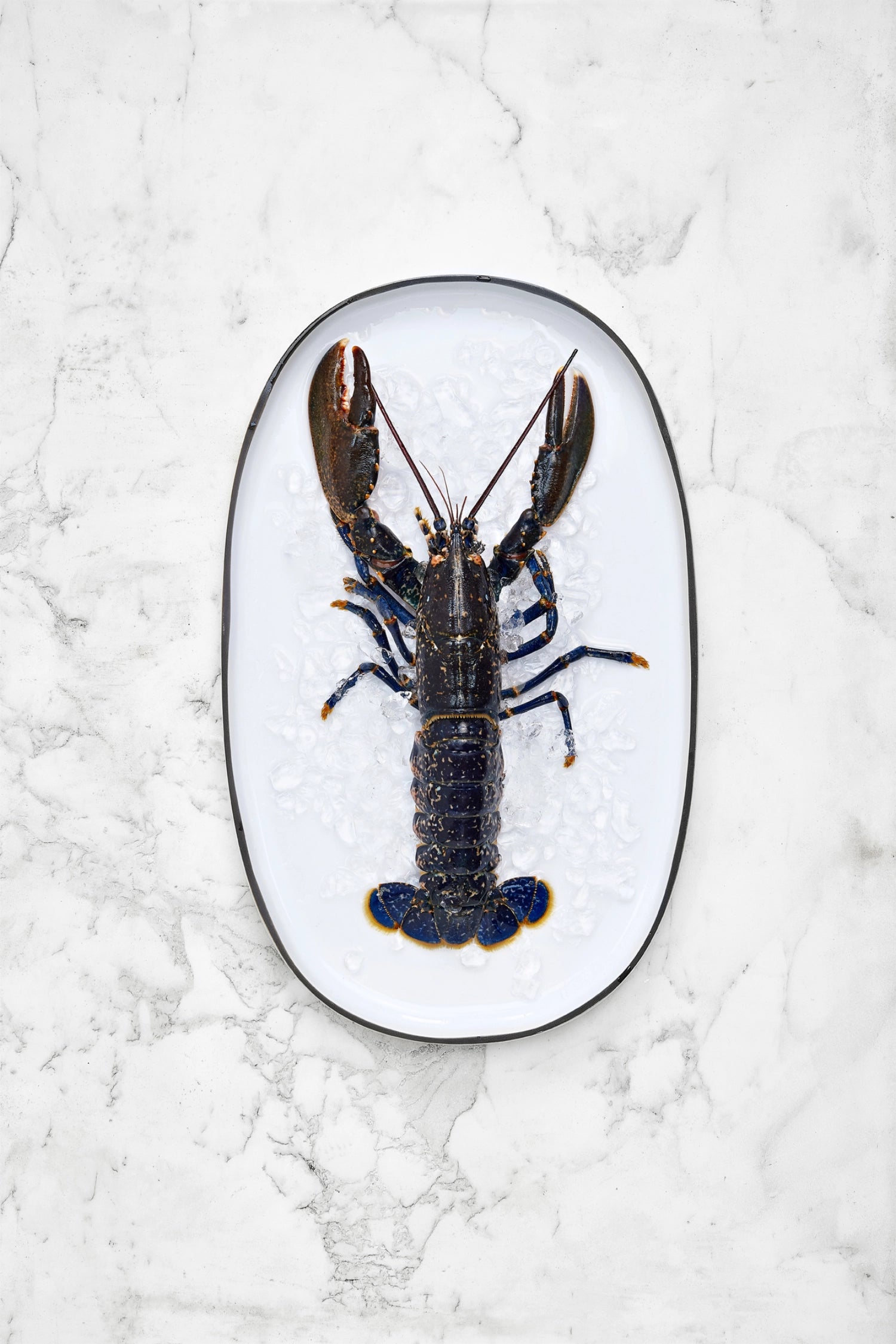 Elegante Servierplatte Caractère von Revol in warmem Zimt. Oval, 35,5x21,8x2,5 cm – ideal für vielseitige Anlässe und stilvolle Tischdekoration.