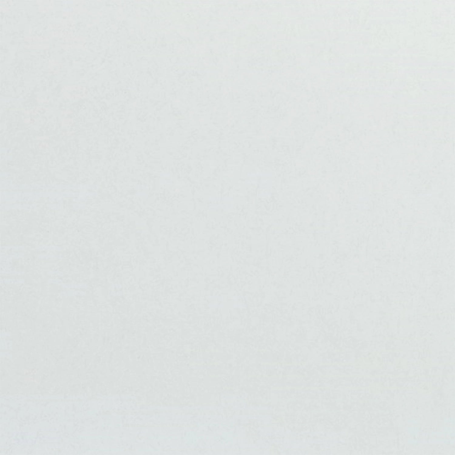 Tablett Euronorm Polyclassic, Lichtgrau 53x37cm