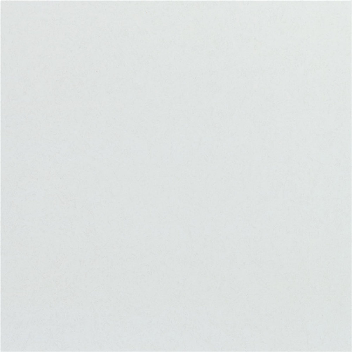 Tablett Euronorm Polyclassic, Lichtgrau 53x37cm in Silber präsentiert im Onlineshop von KAQTU Design AG. Tablett ist von Roltex