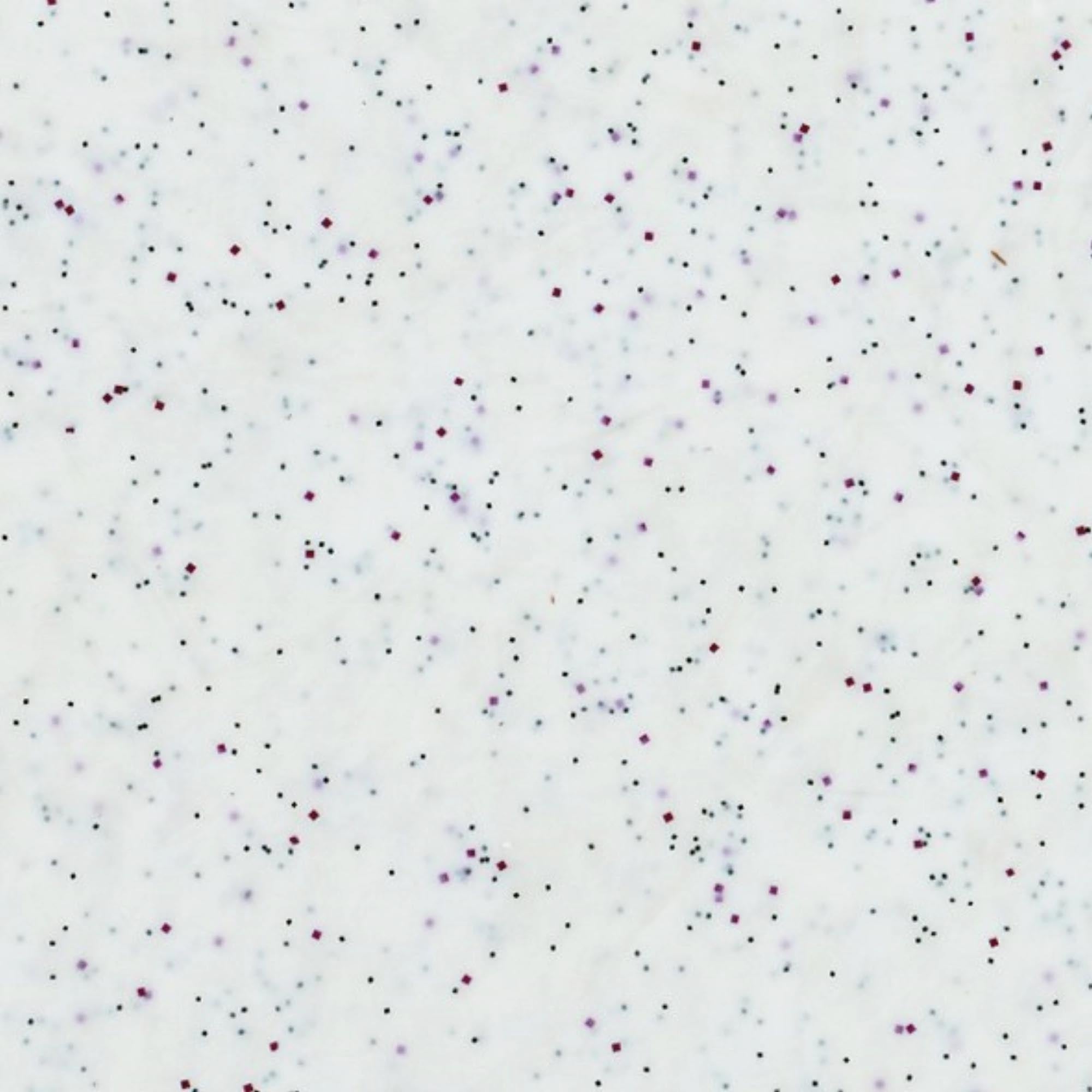 Robustes, weisses Tablett (53x37cm) aus Glasfaser-Polyester, ideal für Gastronomie: stabil, langlebig, hygienisch, elegantes Design.