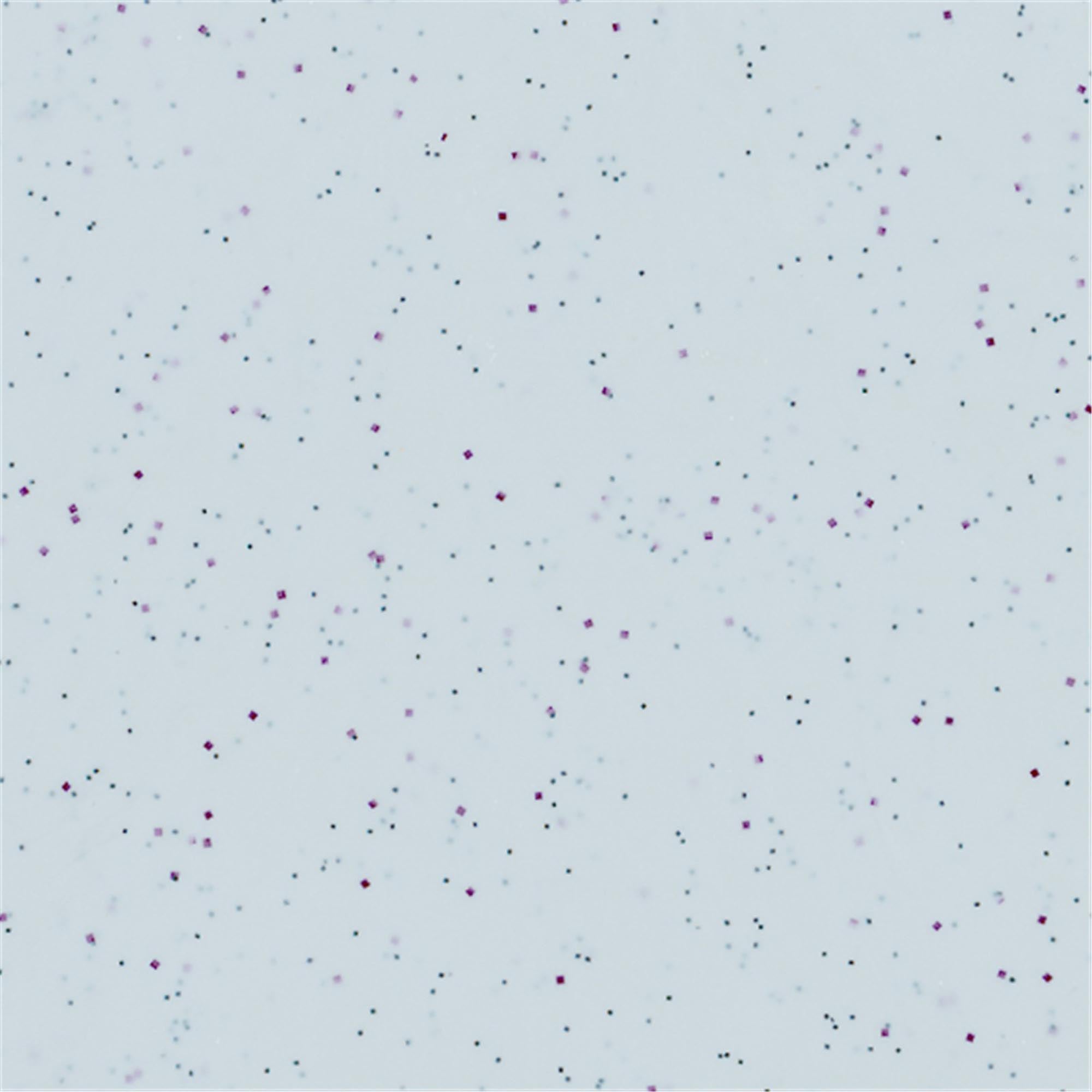 Elegantes graues Tablett 43x33cm von Roltex, Serie Scandia.