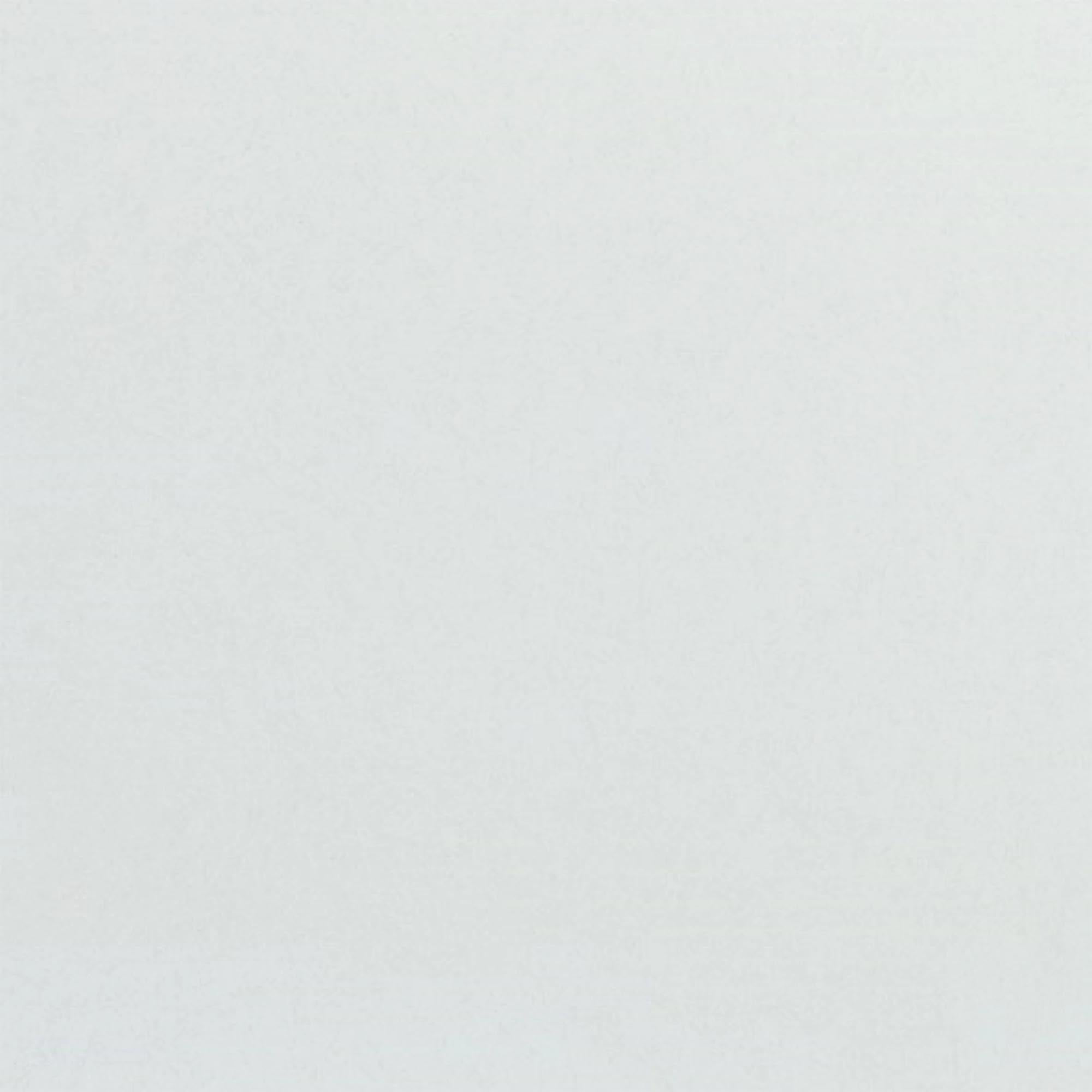 Robustes Tablett 46x36cm, lichtgrau, ideal für Gastronomie.