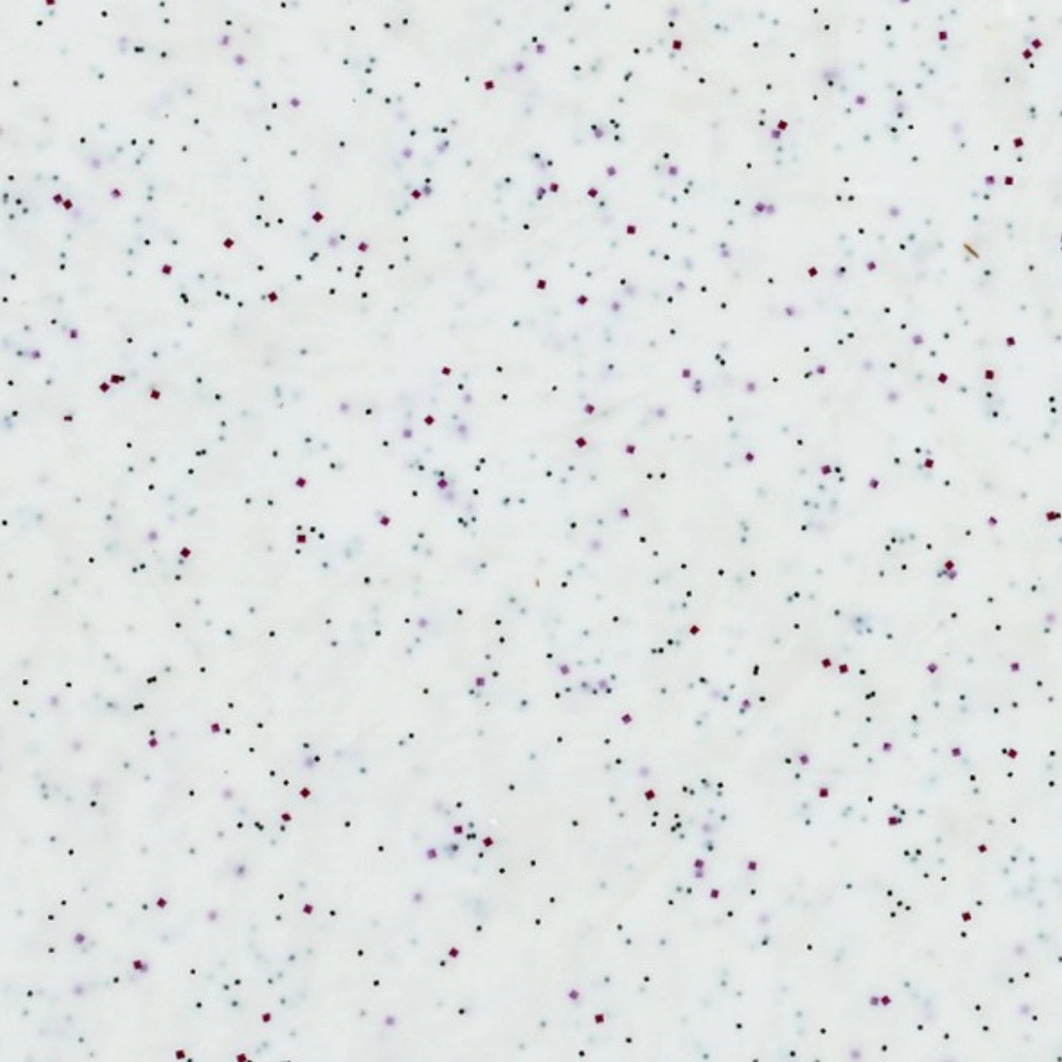 Tablett Polyclassic Rocca Weiss 46x36cm