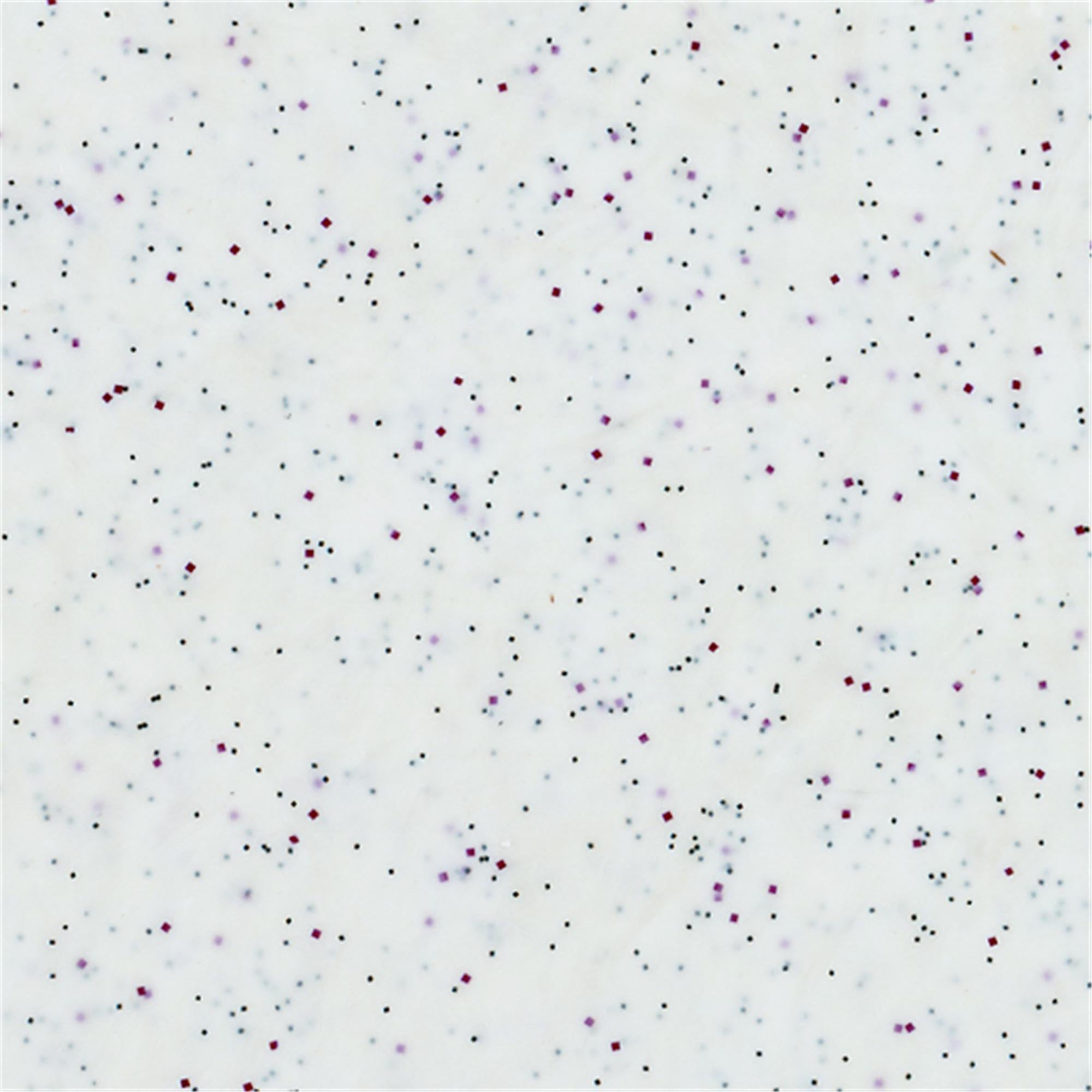 Tablett Polyclassic Rocca Weiss 46x36cm