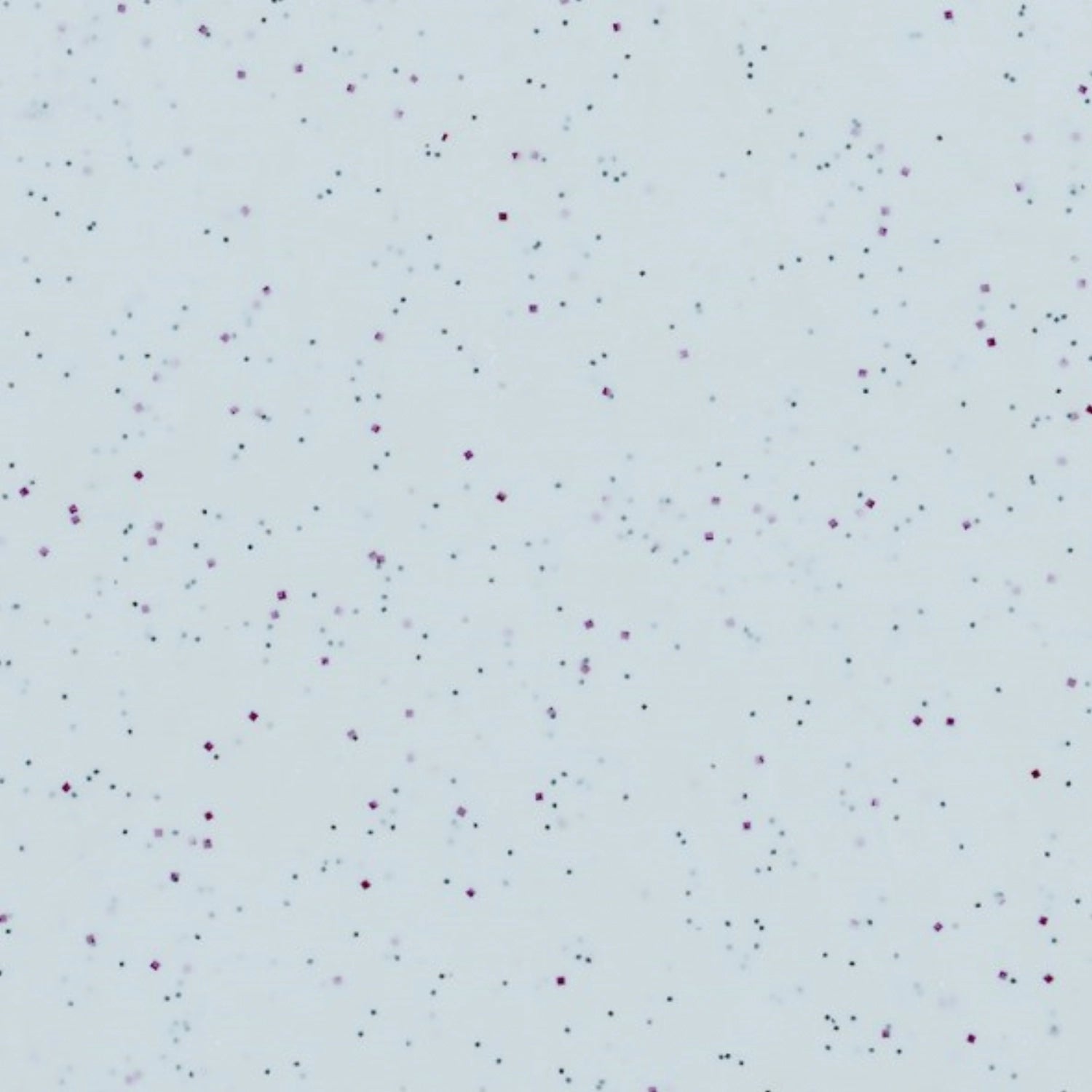 Tablett Polyclassic Rocca Grau 46x36cm