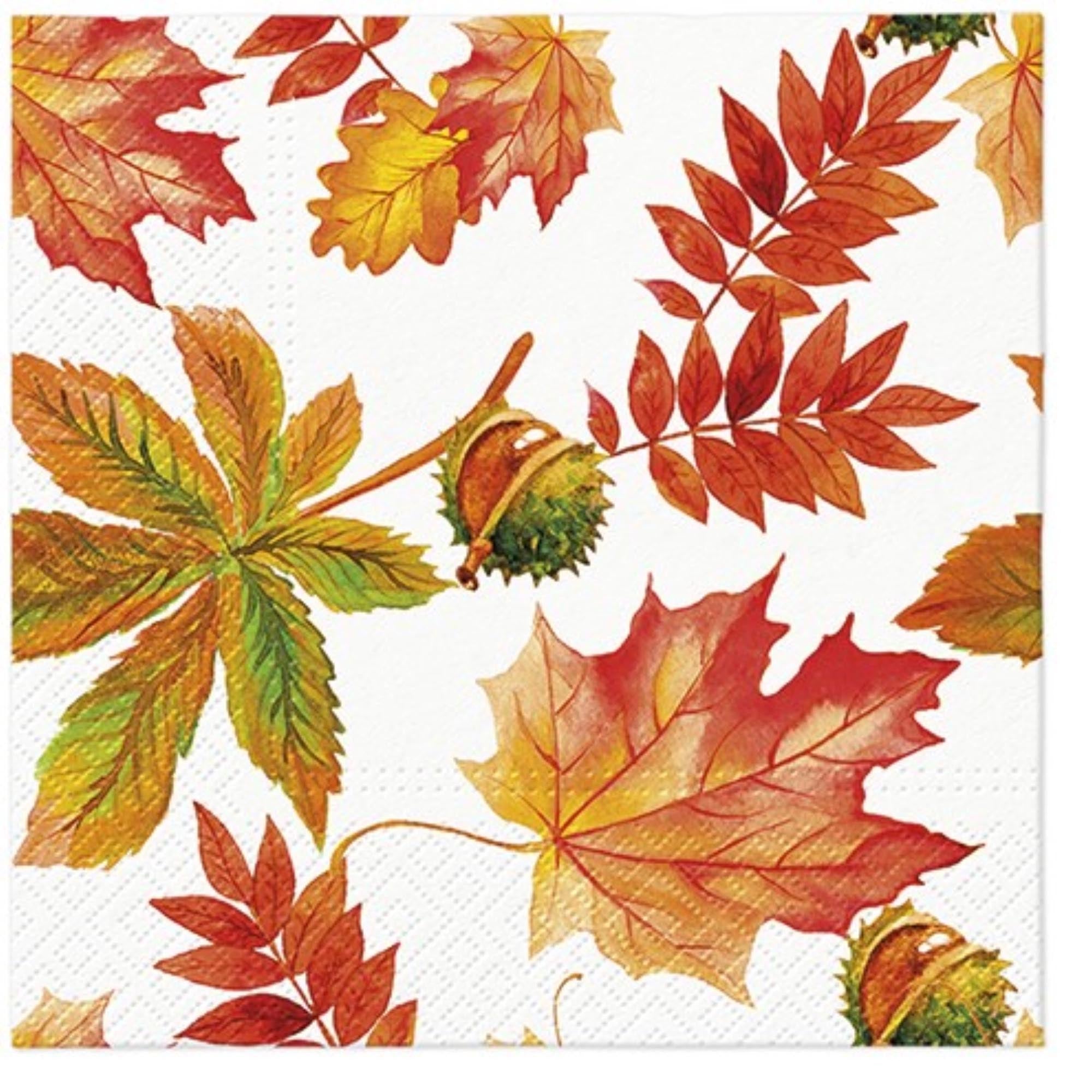 Servietten Lunch 20x Fall Colors, 33x33 cm in Mehrfarbig präsentiert im Onlineshop von KAQTU Design AG. Servietten ist von PAW