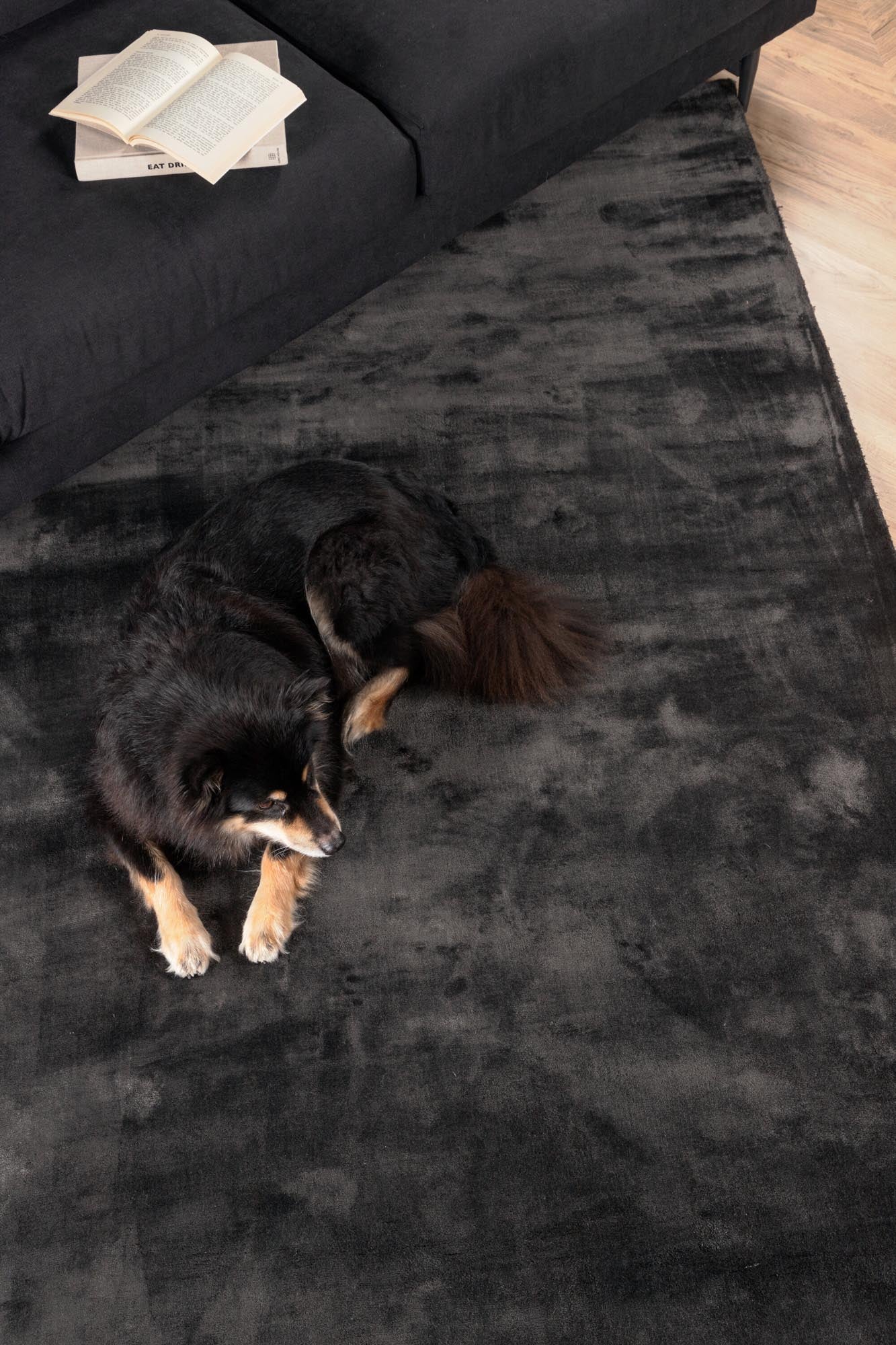 Entdecken Sie den Indra Teppich von Venture Home: Luxuriöse Viskose, elegantes Design und zahlreiche Farben für ein stilvolles Wohnambiente.