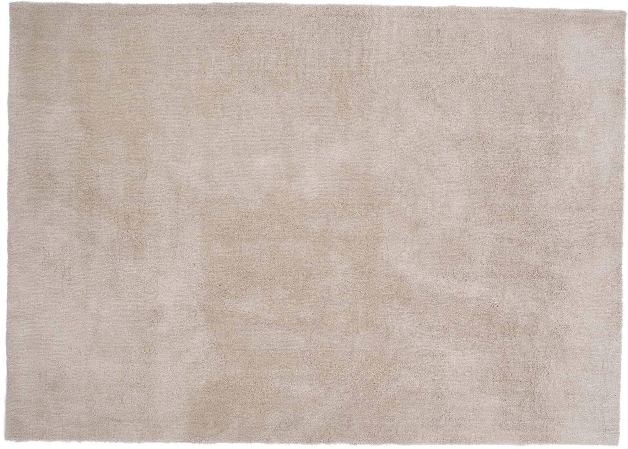 Wunderteppich in Beige präsentiert im Onlineshop von KAQTU Design AG. Teppich ist von Venture Home