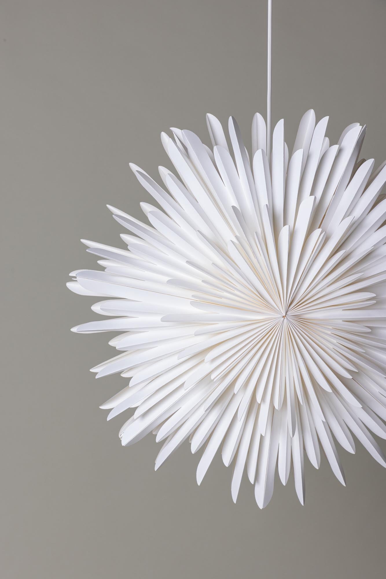 Moderne Siegel Pendelleuchte von Venture Home für zeitlose Eleganz.