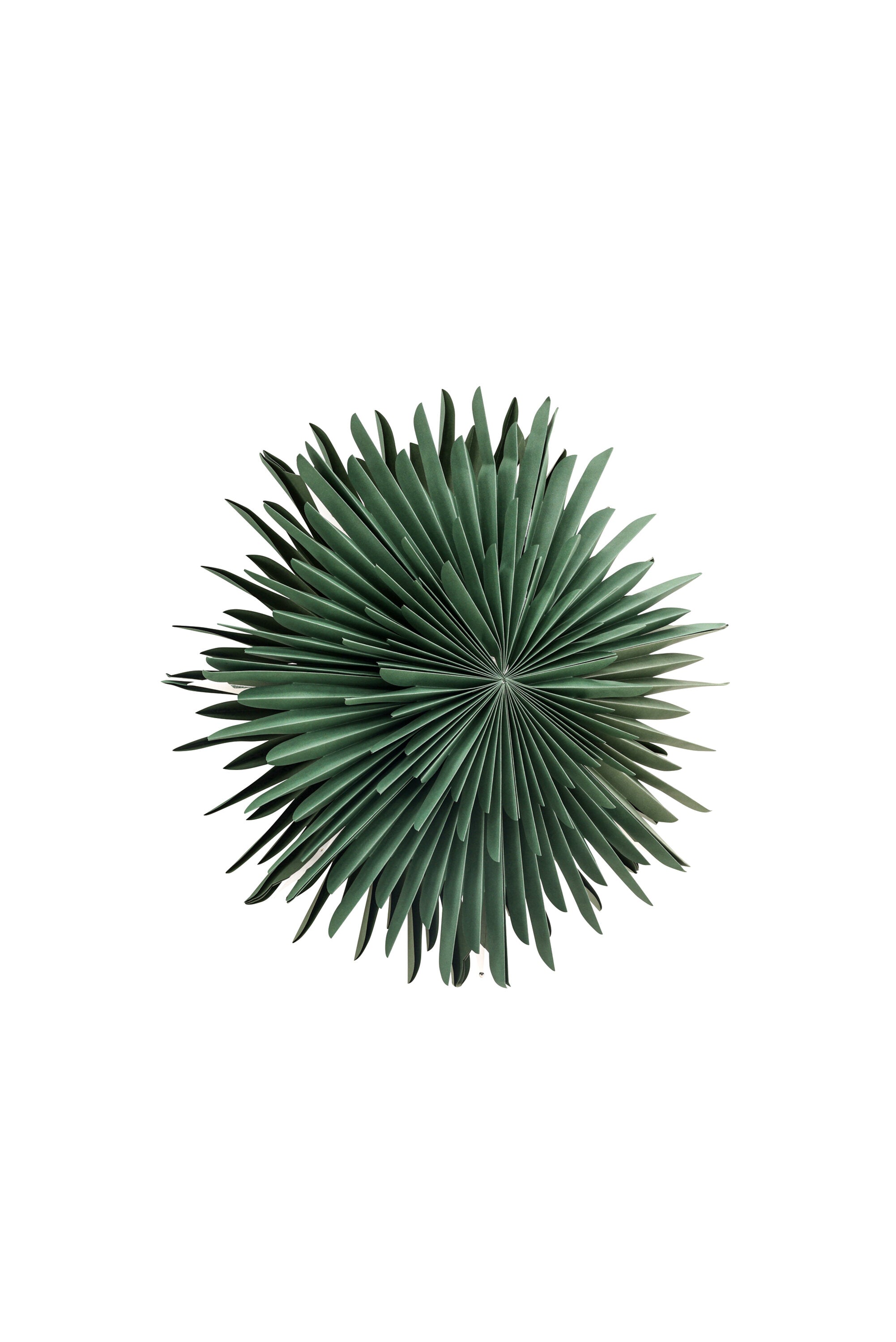 Siegel Pendelleuchte in Grün präsentiert im Onlineshop von KAQTU Design AG. Weihnachtszubehör ist von Venture Home
