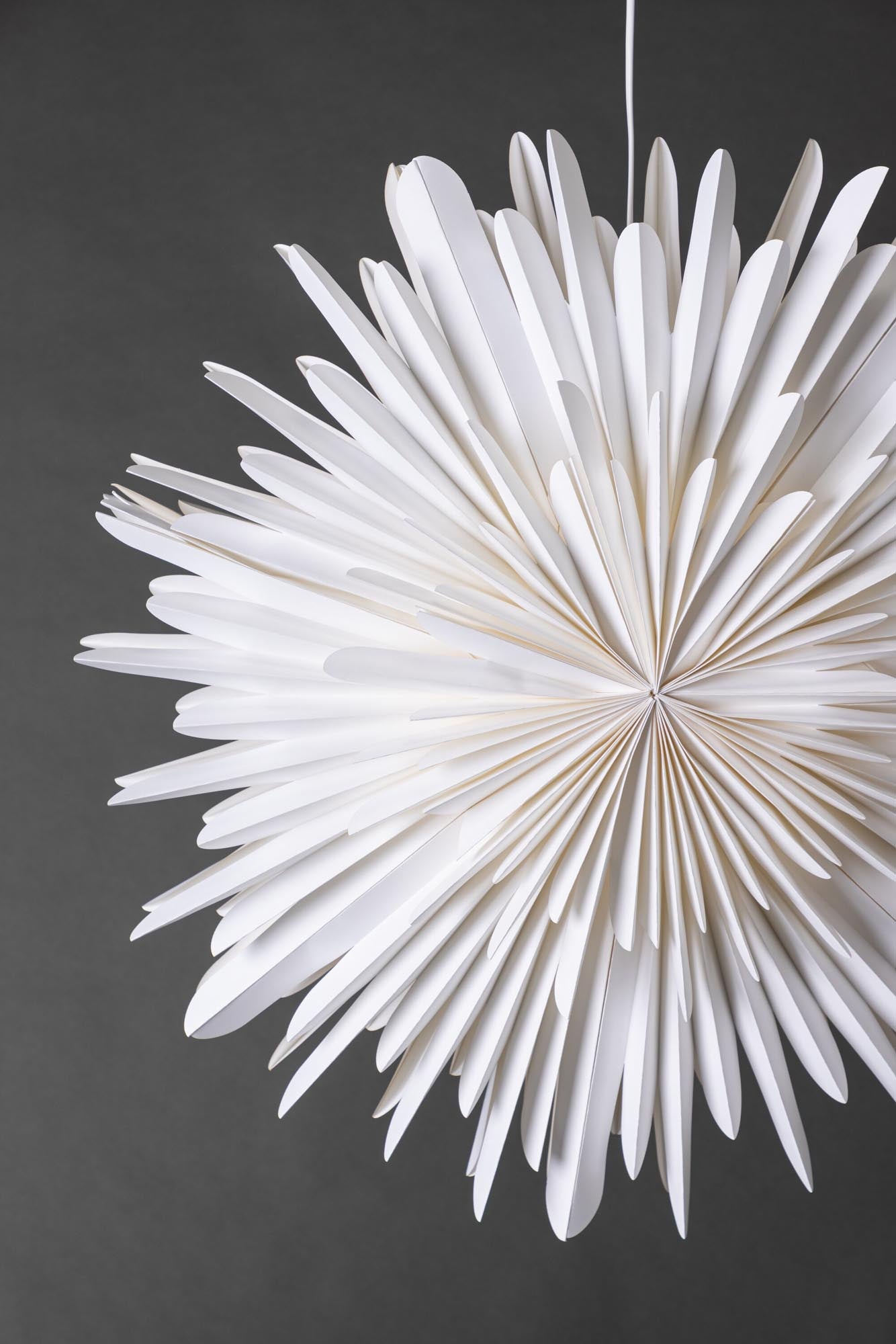 Entdecken Sie die Siegel Pendelleuchte von Venture Home – ein stilvoller Papierstern, der Ihr Zuhause mit warmem Licht und festlicher Atmosphäre verzaubert.