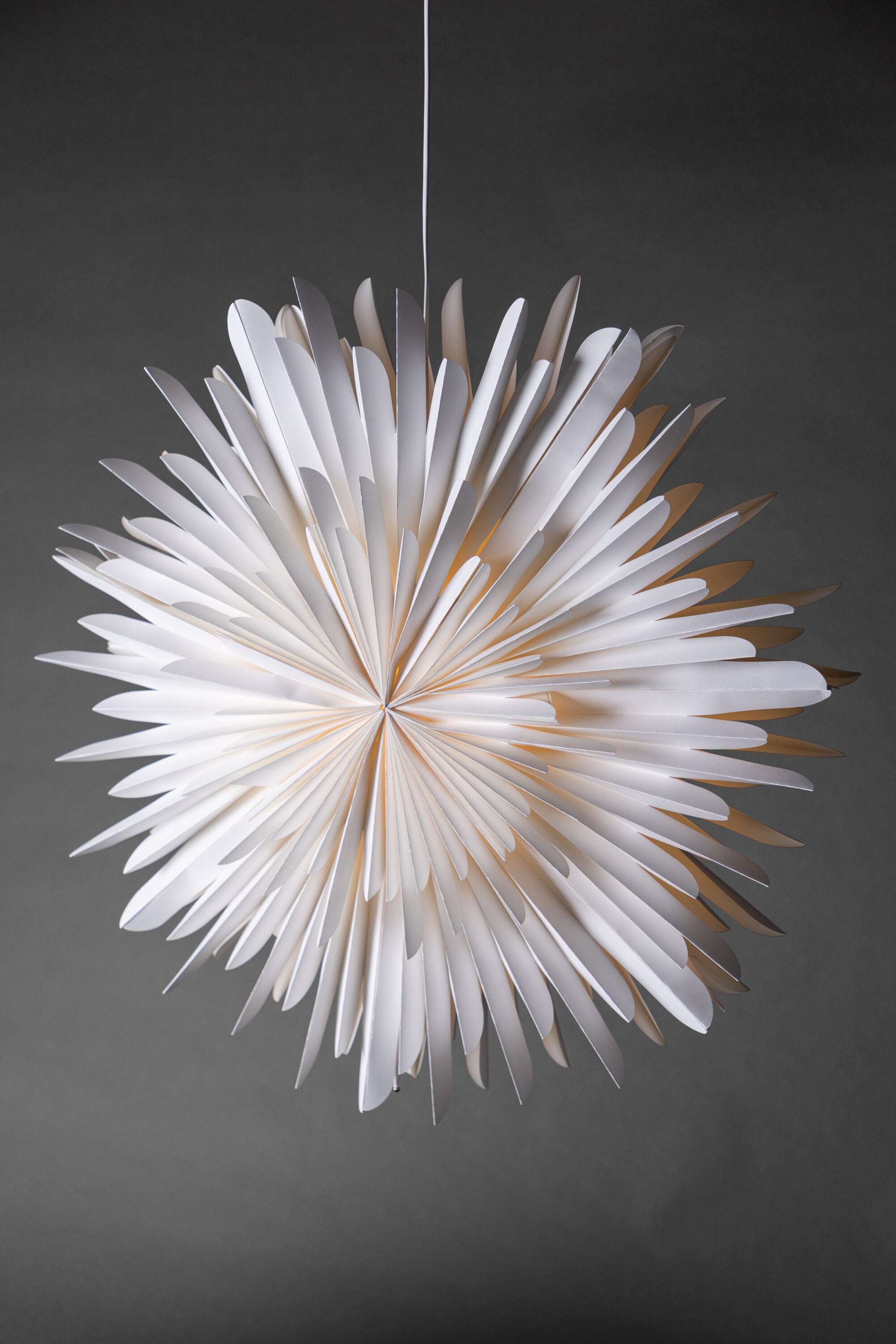 Siegel Pendelleuchte in Weiss präsentiert im Onlineshop von KAQTU Design AG. Weihnachtszubehör ist von Venture Home
