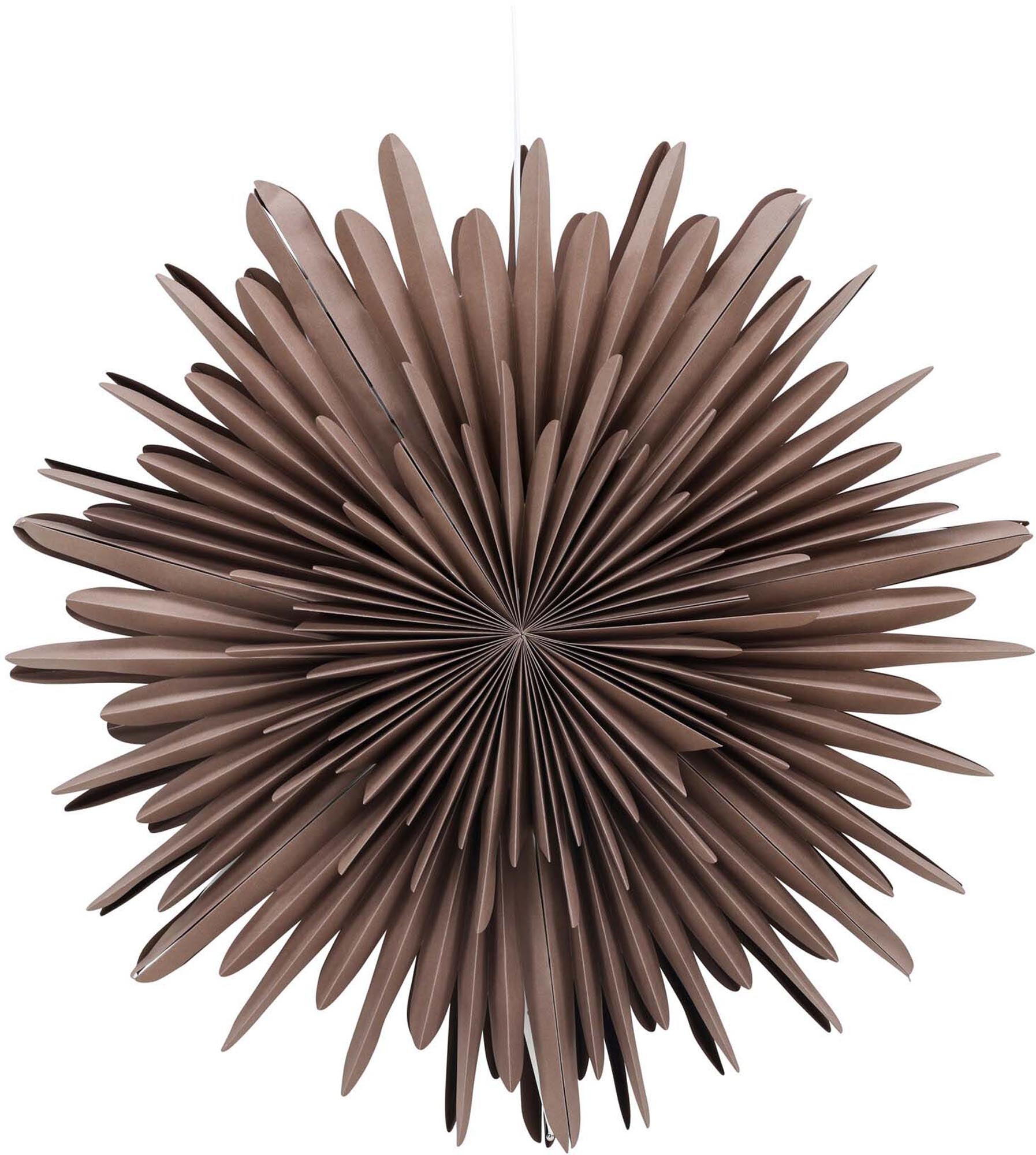 Elegante Siegel Pendelleuchte von Venture Home für stilvolle Räume.