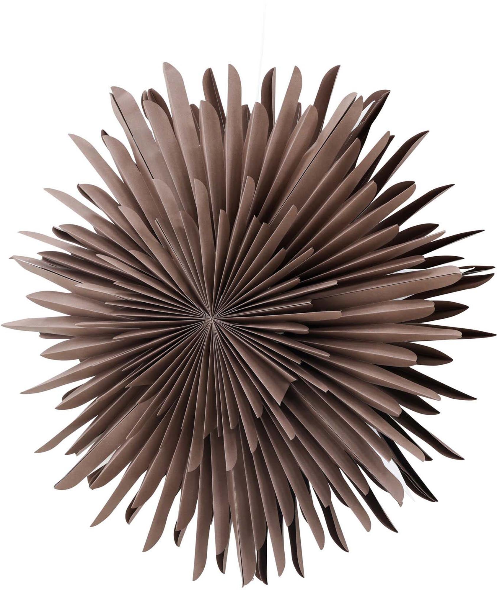 Moderne Siegel Pendelleuchte von Venture Home für zeitlose Eleganz.