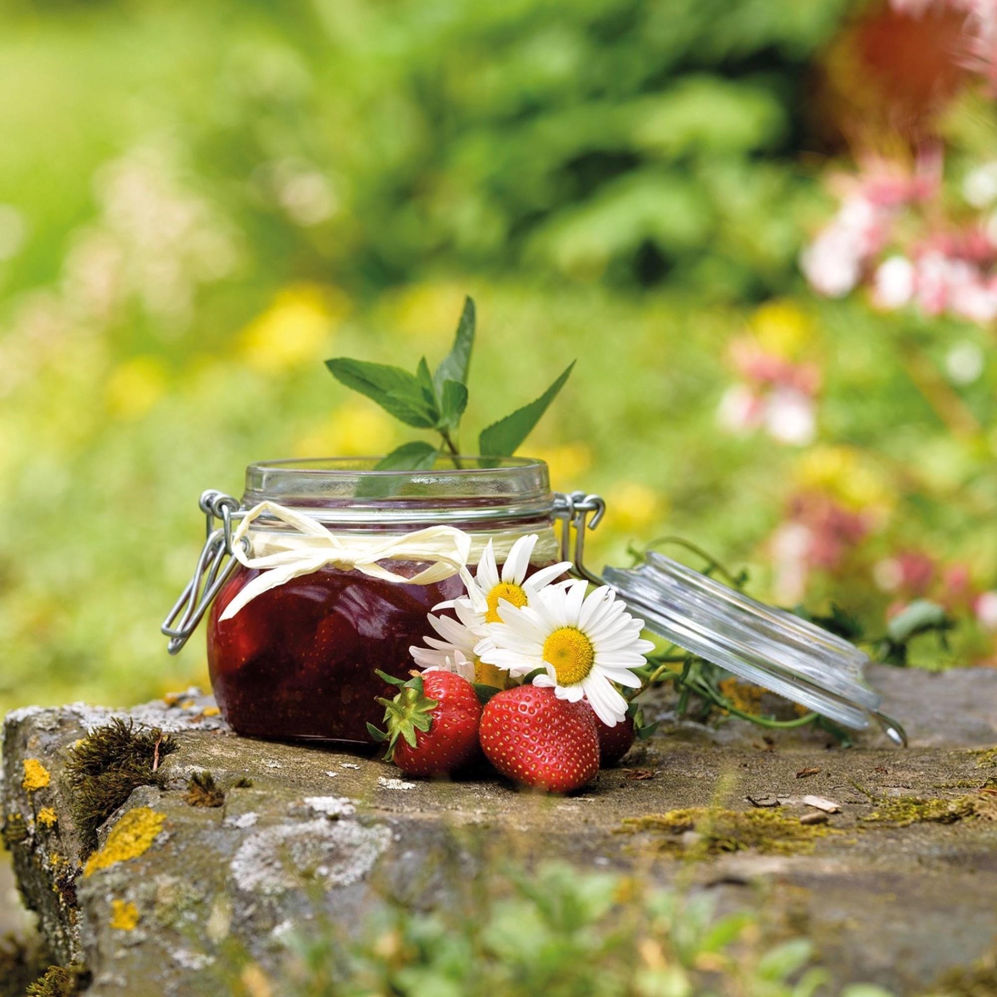 Hochwertiges 500ml Drahtbügelglas von Westmark, perfekt zum Einmachen und Lagern, mit stabilem Bügelverschluss und 90mm Öffnung.