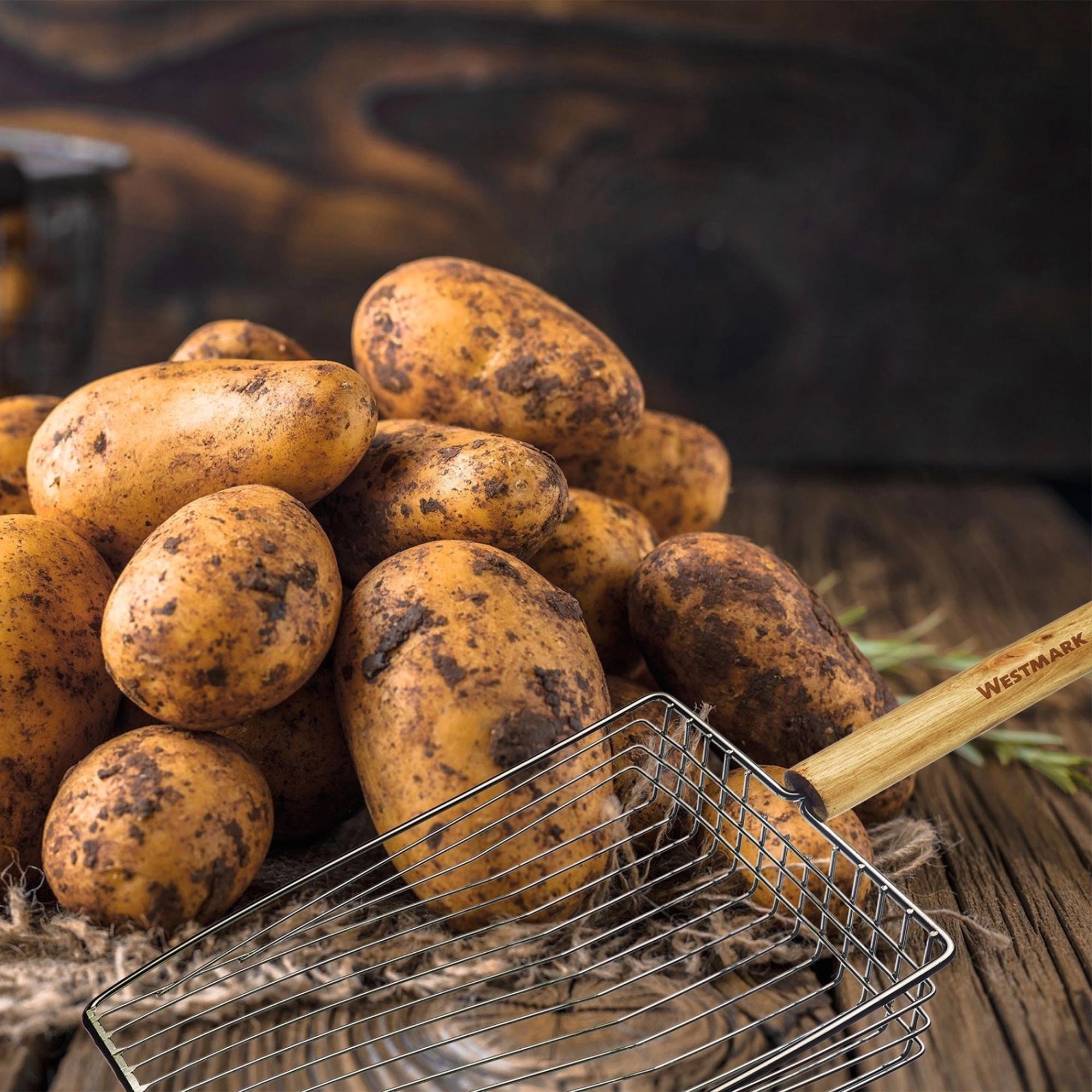 Robuste Kartoffelschaufel aus Stahl von Westmark, ideal für die Ernte und das Umsetzen von Kartoffeln im Garten.