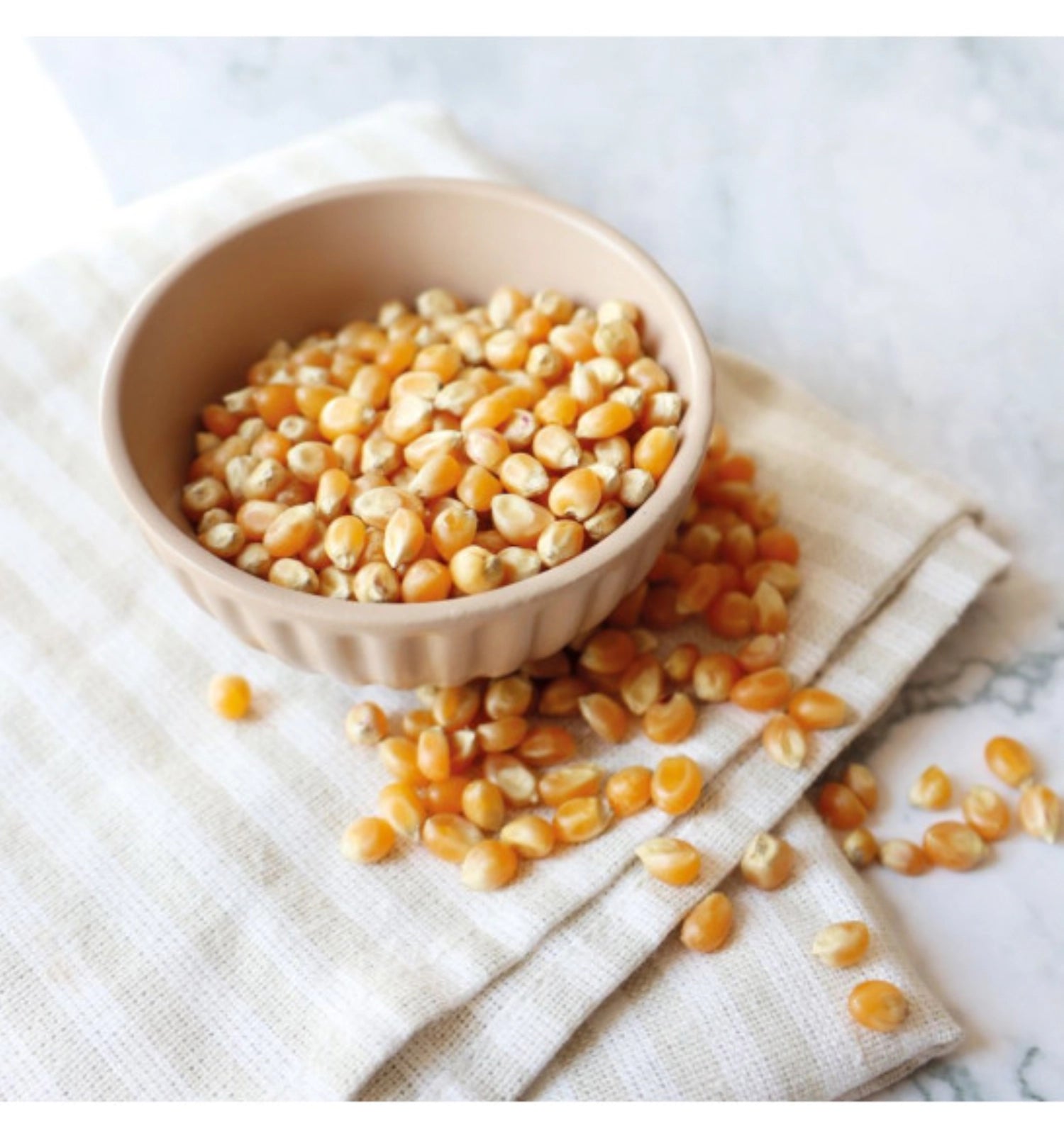 Hochwertiger Popcorn Mais 300g von Scrap Cooking, ideal für die Zubereitung von leckerem, frisch gepopptem Popcorn für jeden Anlass.