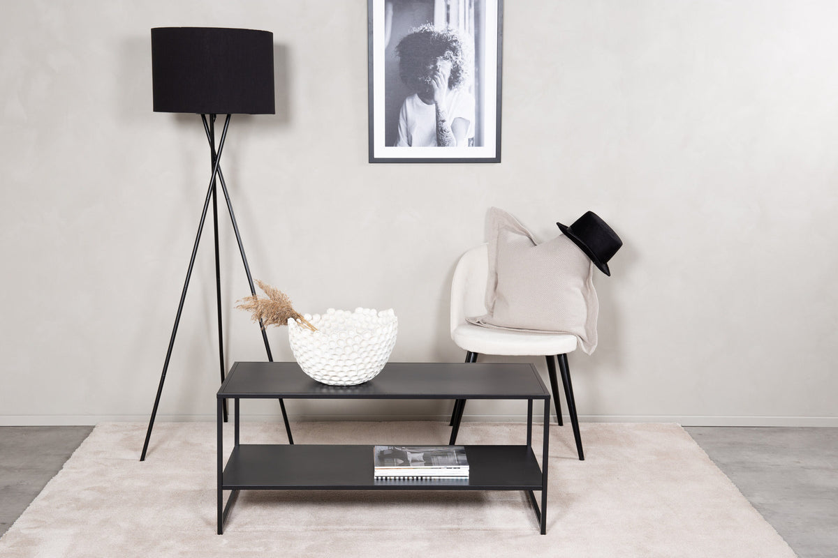 Staal Regal in Schwarz präsentiert im Onlineshop von KAQTU Design AG. Standregal ist von Venture Home