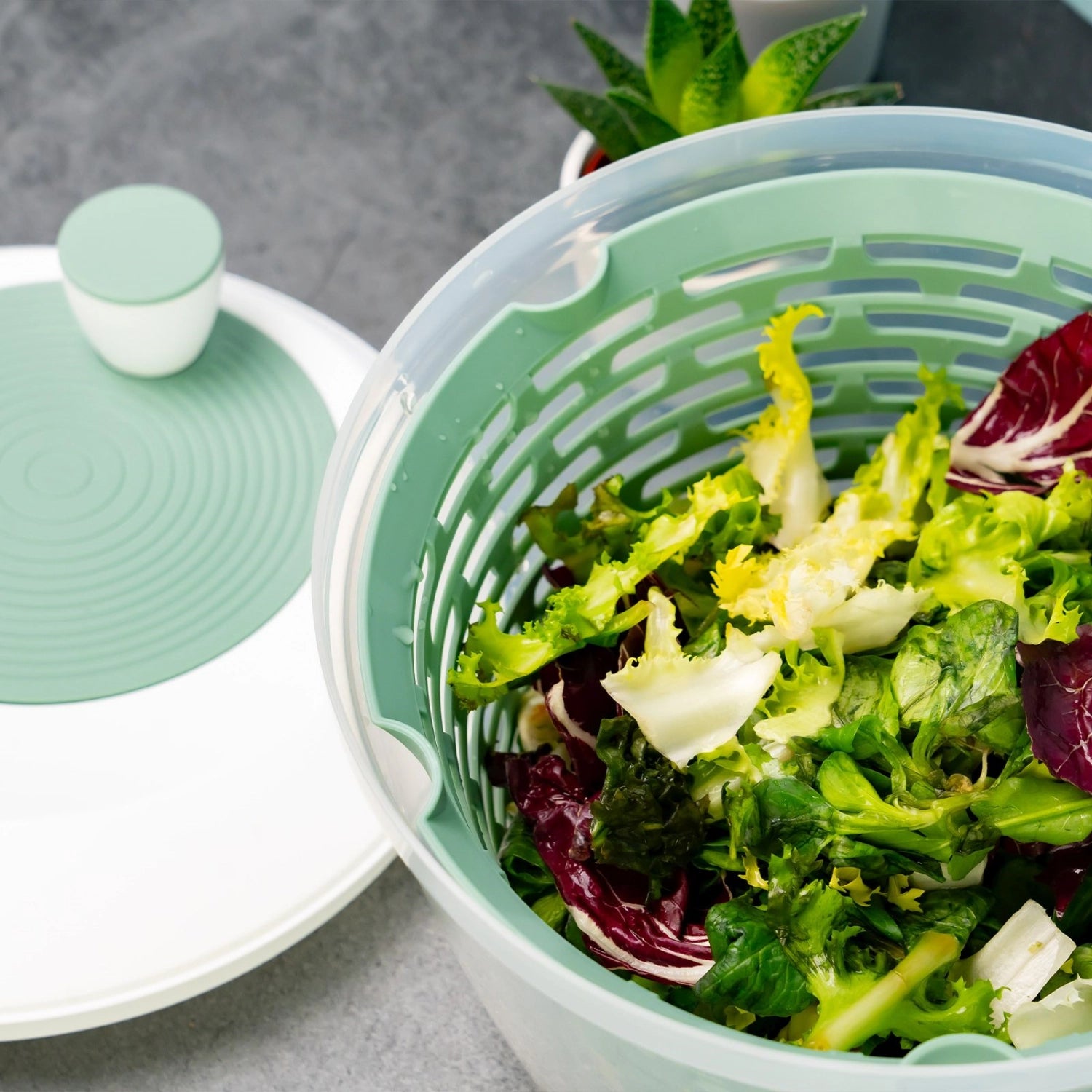 Moderne Spinderella Salatschleuder in mintgrün, 4.4l, mit rutschfester Unterlage – perfekt für die Zubereitung knackiger Salate.