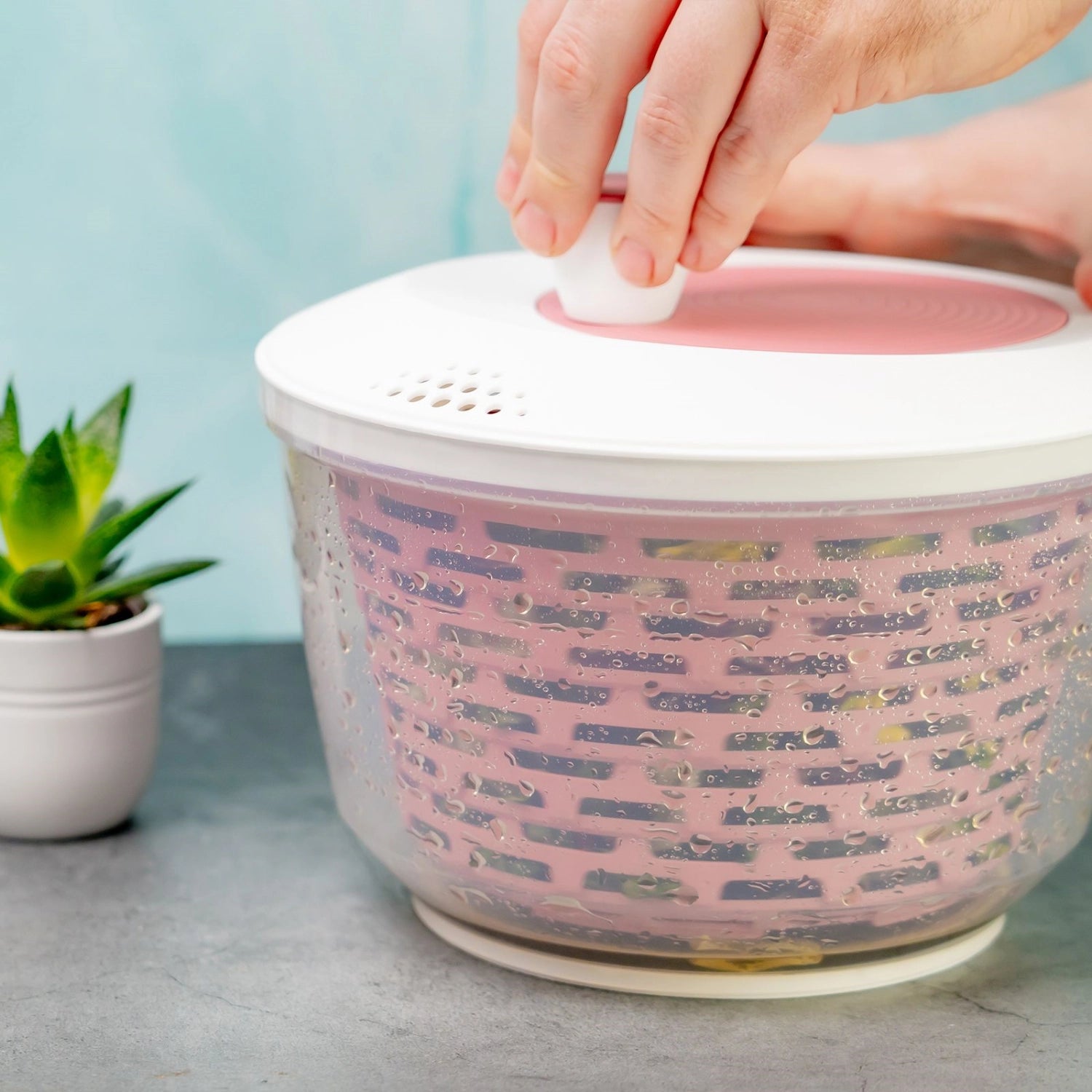 Rosa Spinderella Salatschleuder von Westmark mit rutschfester Basis, 4.4l Fassungsvermögen, ideal für frische Salate.