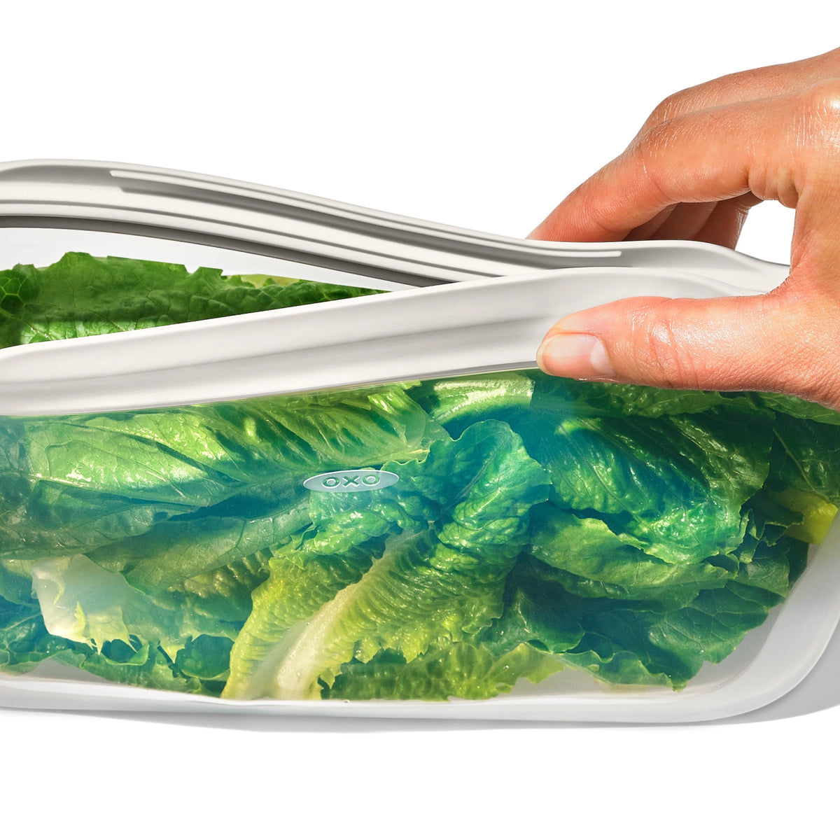 Transparente Silikon-Aufbewahrungstasche von OXO Good Grips mit flacher, rechteckiger Form und Verschlusslasche, leer abgebildet.