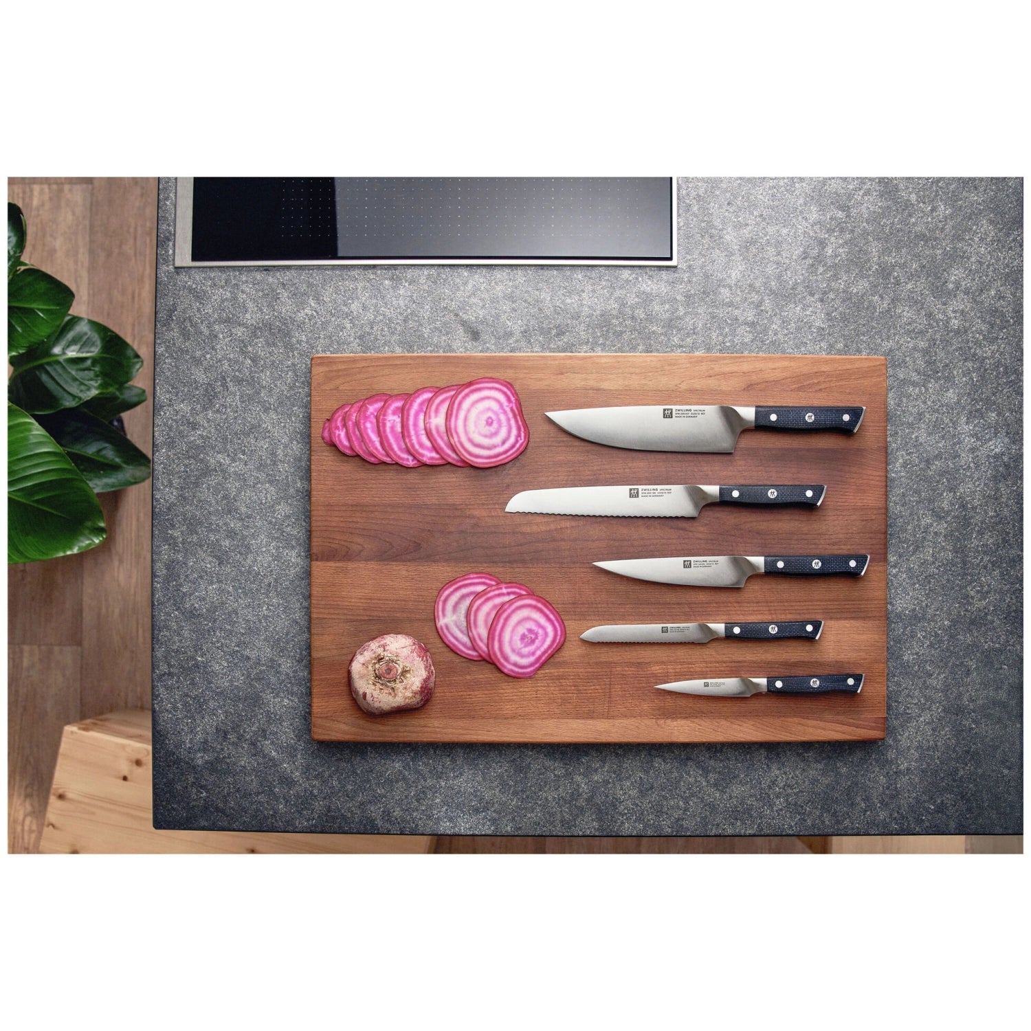 Elegantes 4er Set Spectrum Steakmesser von Zwilling, ideal für Steakliebhaber, mit bunten Griffen und präzisen Klingen für müheloses Schneiden.
