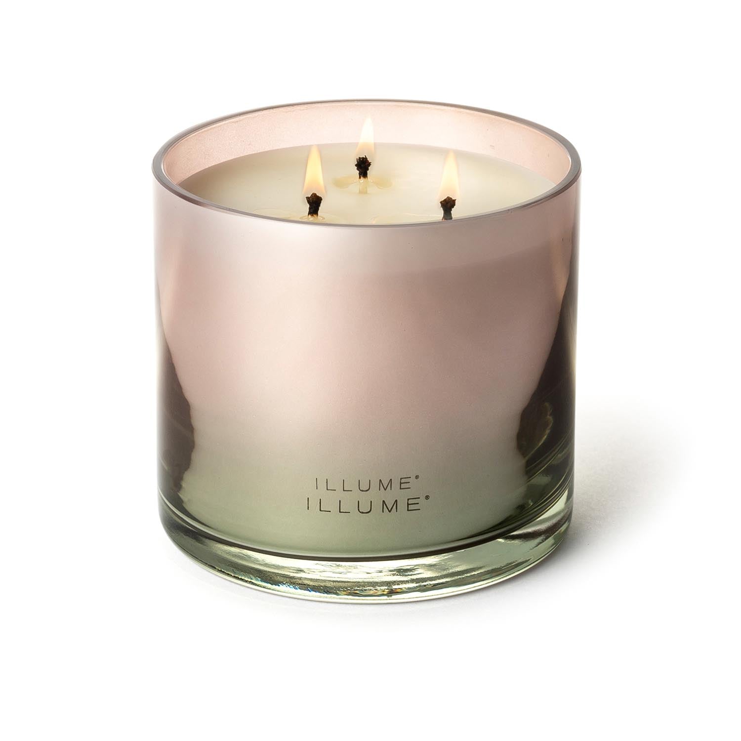 Coconut Milk Mango Statement Glas Kerze, Rose, in Rose präsentiert im Onlineshop von KAQTU Design AG. Duftkerze ist von Illume