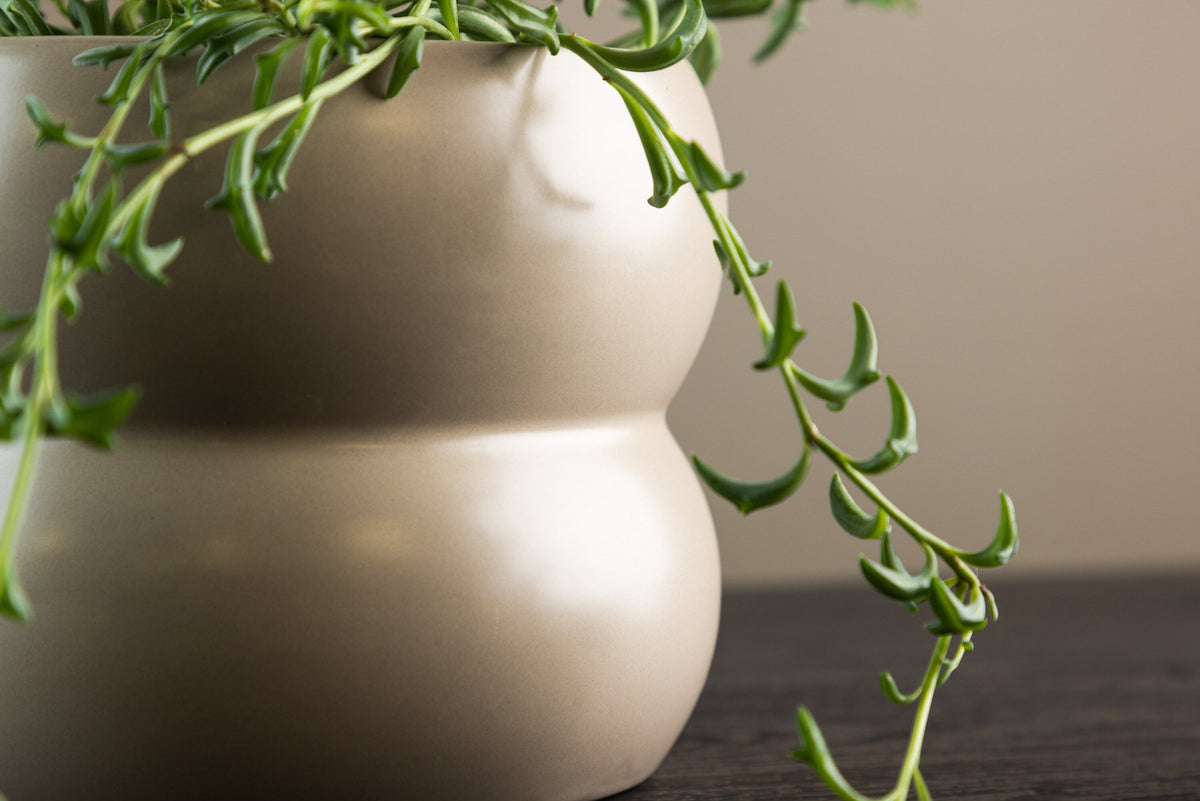 Dapne Vase von Venture Home aus Steinzeug in Schwarz-Weiss, rundliche Form mit einem Durchmesser von 16 cm und einer Höhe von 13 cm.