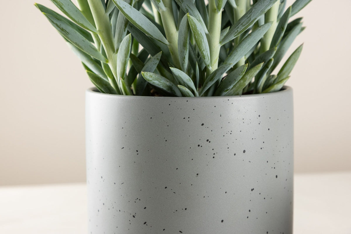 Schwarz-dunkelgraue Vase Sane aus Steinzeug mit gepunktetem Muster, rundlicher Form, Durchmesser 11 cm und Höhe 10 cm.