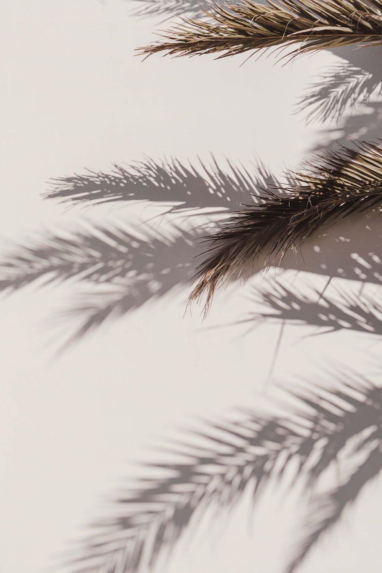 Shadow Poster in Beige präsentiert im Onlineshop von KAQTU Design AG. Bild ist von Venture Home