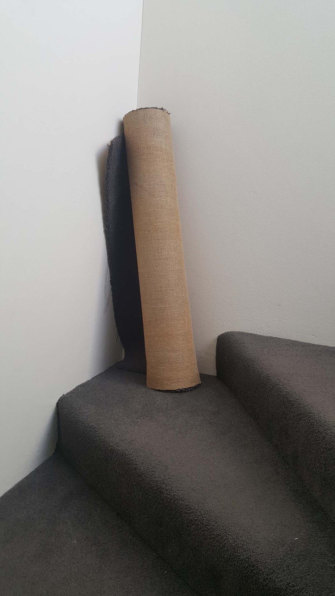 Venture Home Teppich Poster: Elegante Akzente für Ihre Wände.