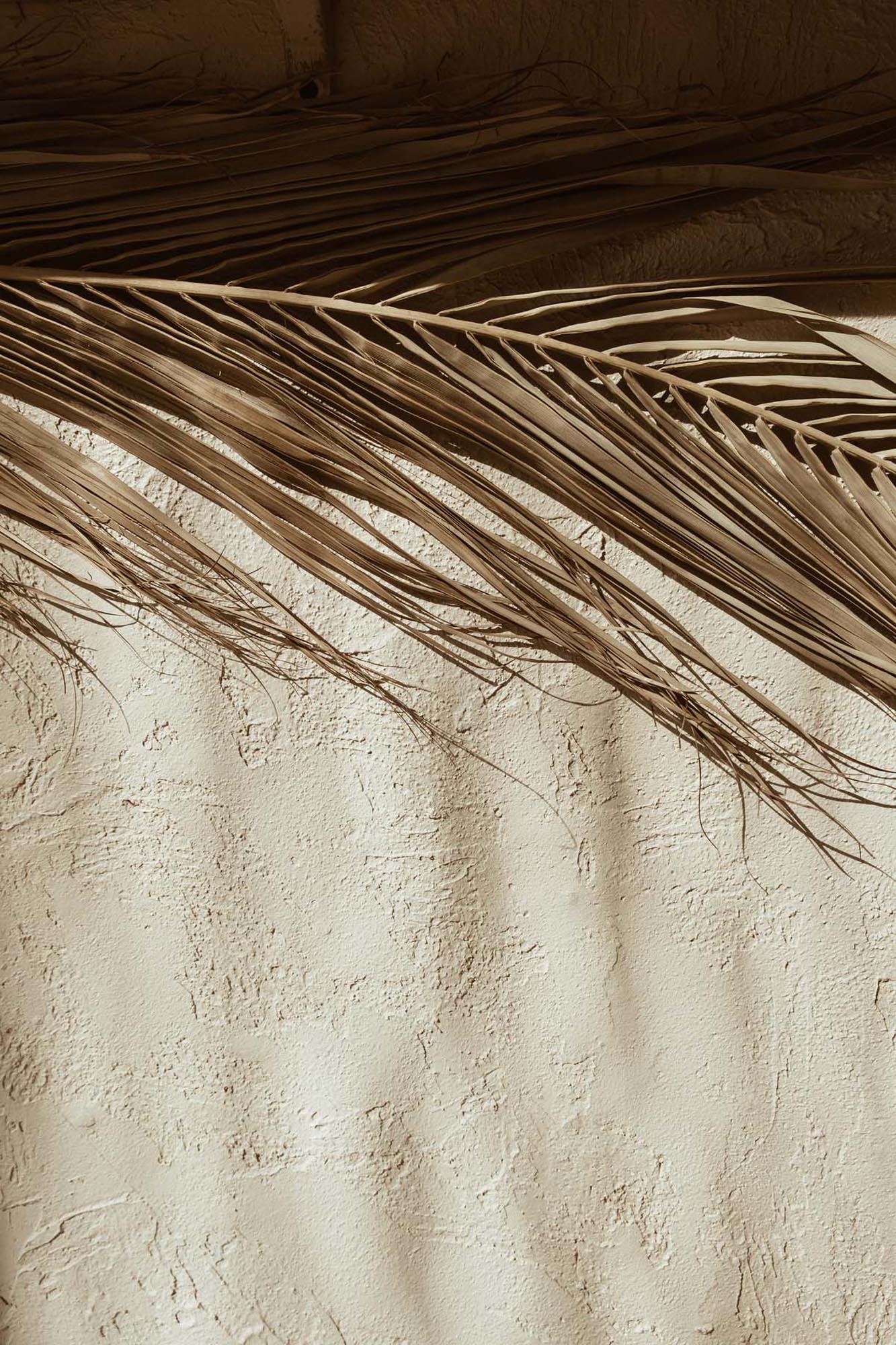 Venture Home Dessert Poster: Elegante Kunst für Ihre Wände.