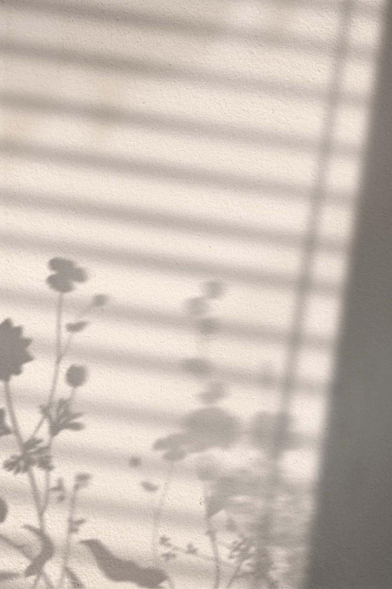 Ein Kunstwerk, das zarte Blumen und ihre Schatten im Morgenlicht zeigt, ideal für eine ruhige Wohnatmosphäre.