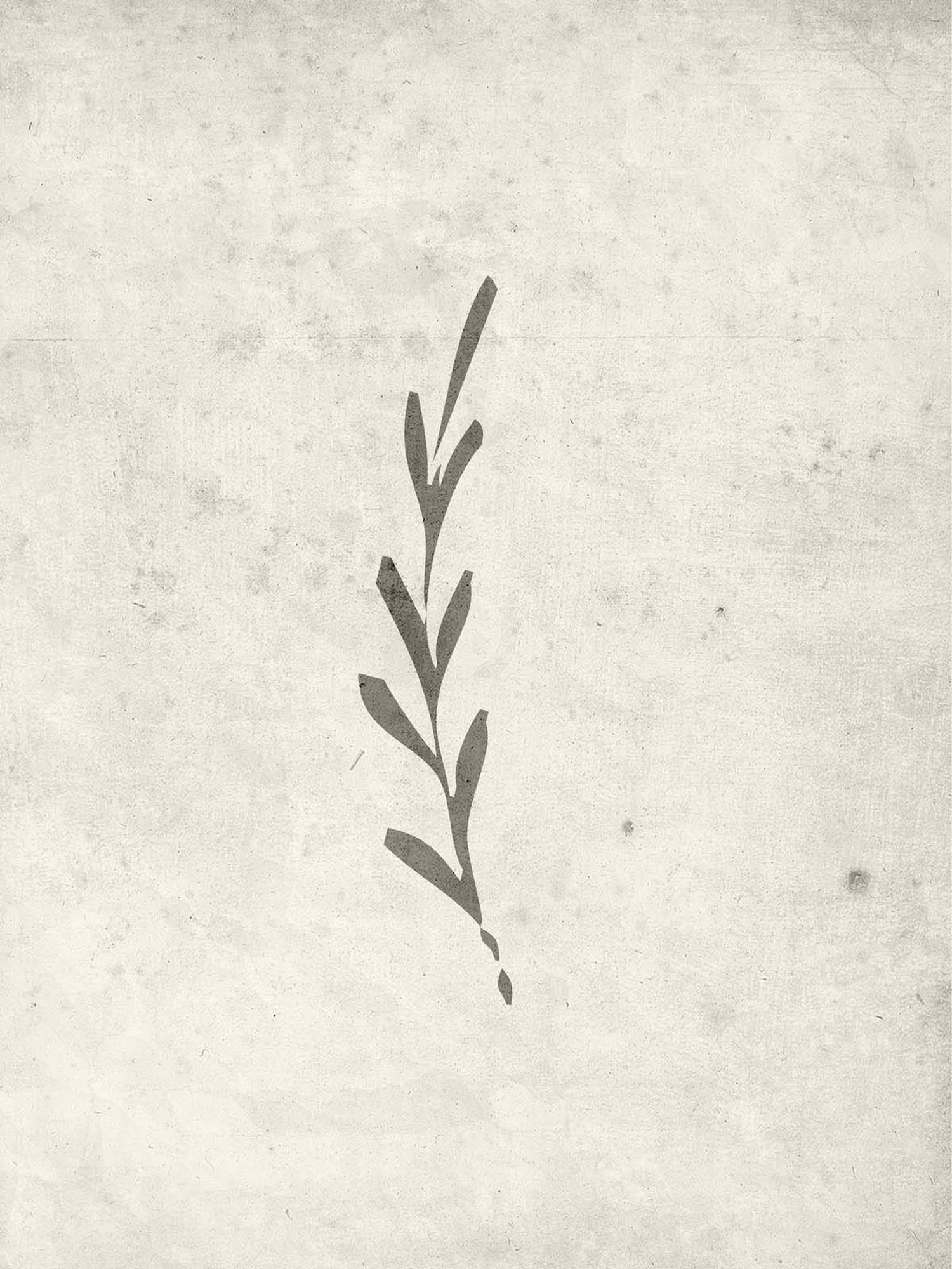 Autumn Leaf Poster in Beige präsentiert im Onlineshop von KAQTU Design AG. Bild ist von Venture Home
