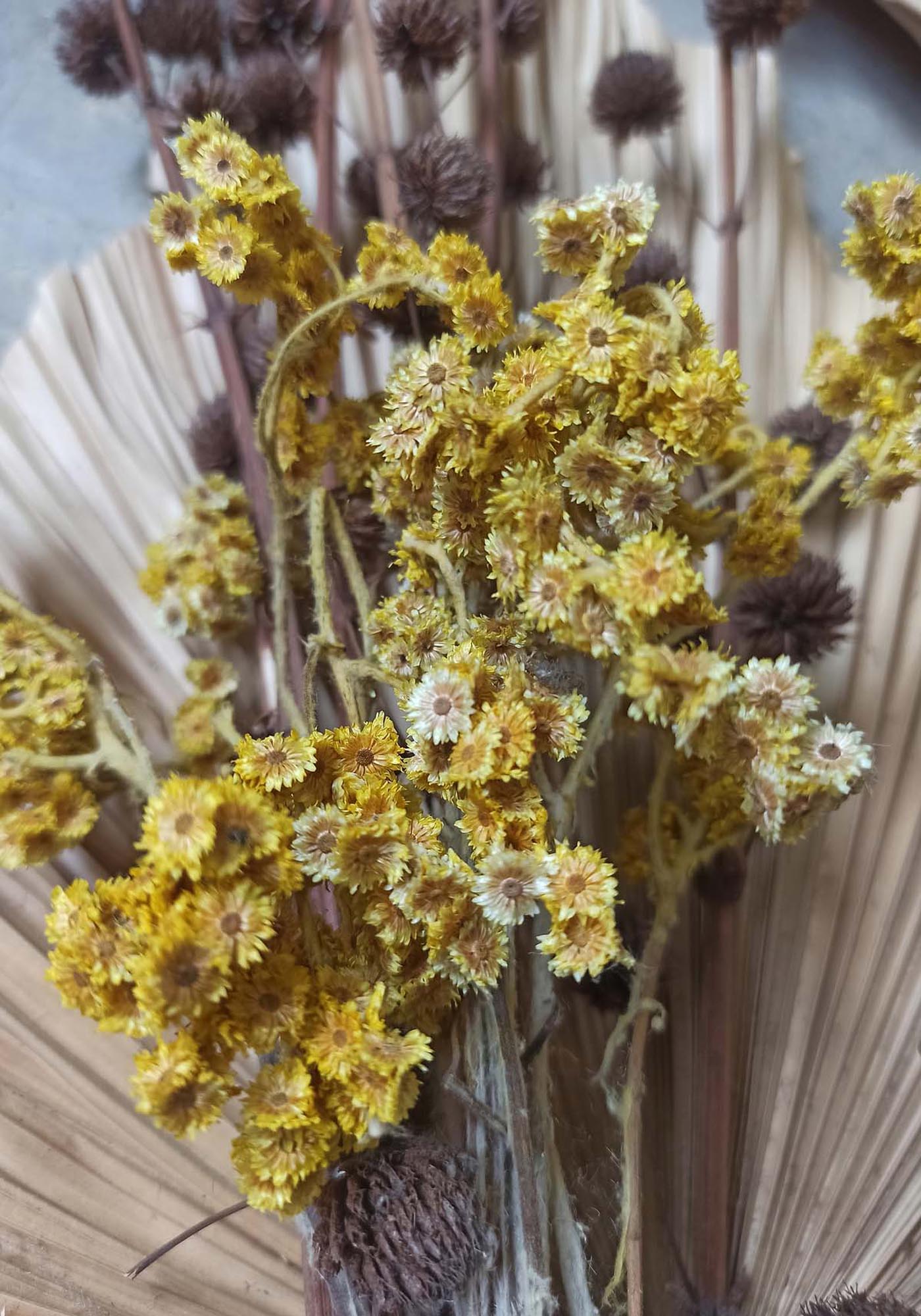 Venture Home Bouquet Poster: Zeitlose Blütenpracht für Ihre Wände.