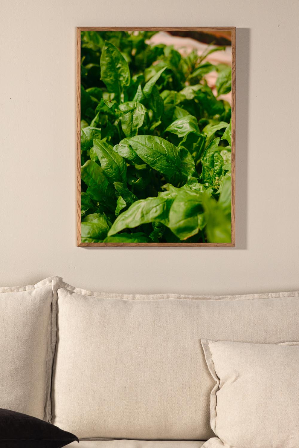 Green Leaf Poster in Grün präsentiert im Onlineshop von KAQTU Design AG. Bild ist von Venture Home