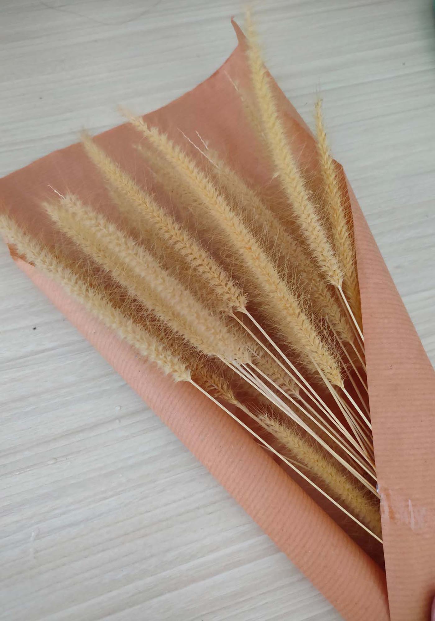 Stilvolles Dry Flowers Poster: Bringen Sie Natur in Ihr Wohnzimmer.